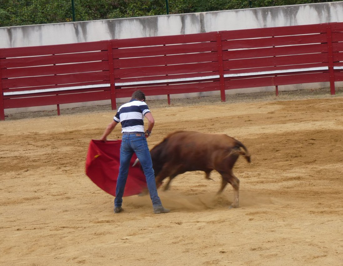 P1010593 (Copier).JPG