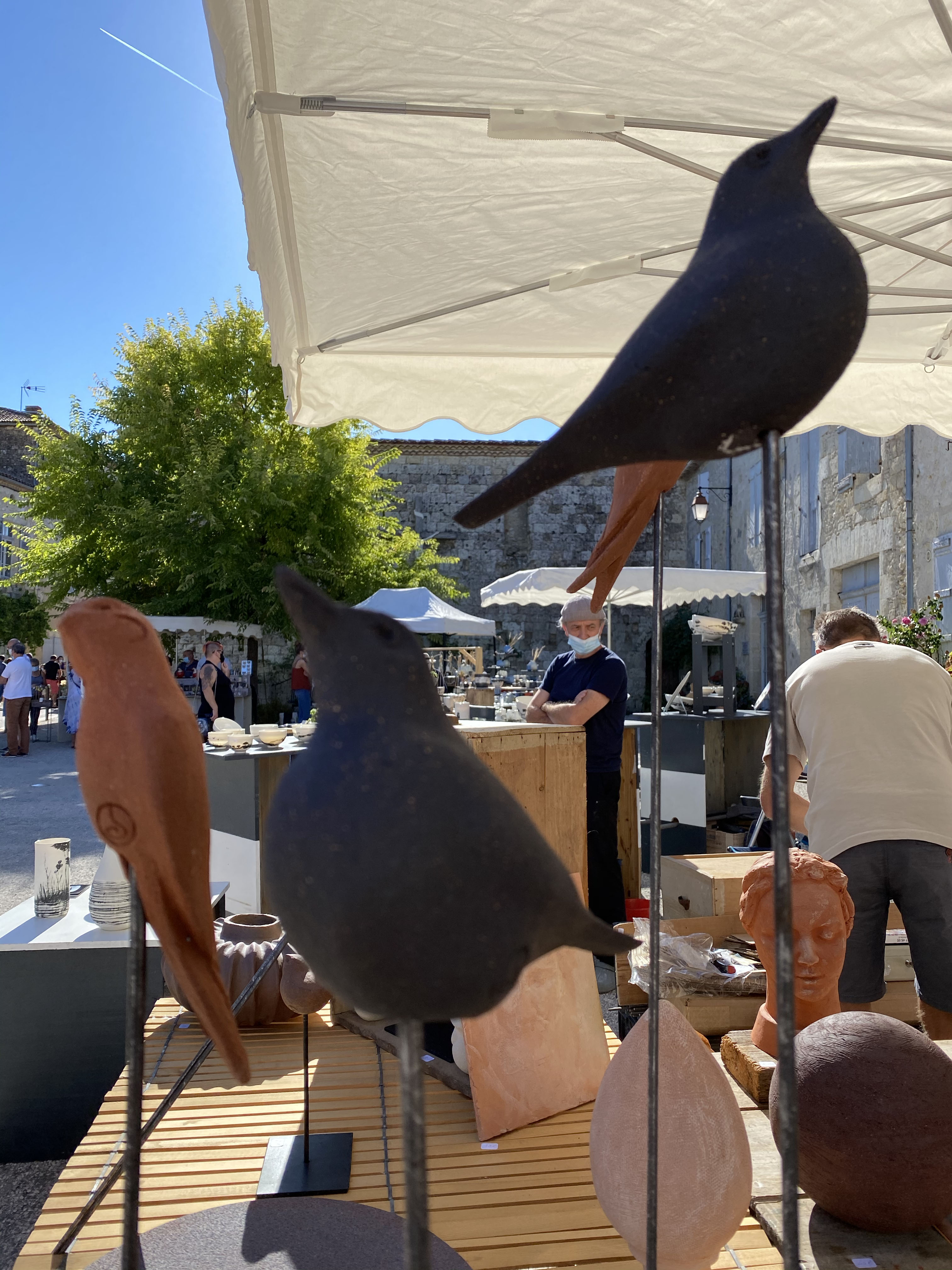 oiseaux.jpg