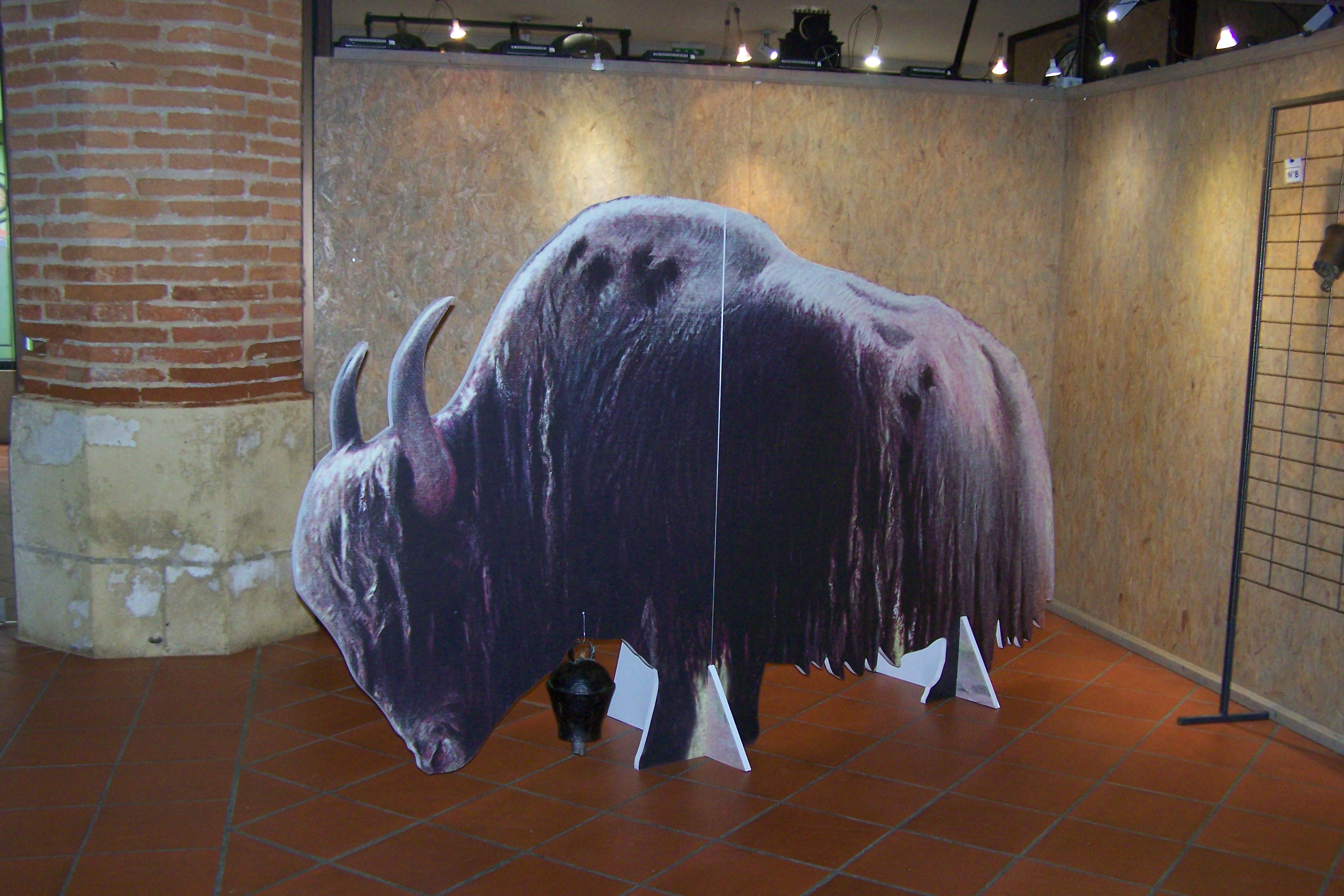 expo musée de L'isle Jourdain les Sonnailles 005.JPG