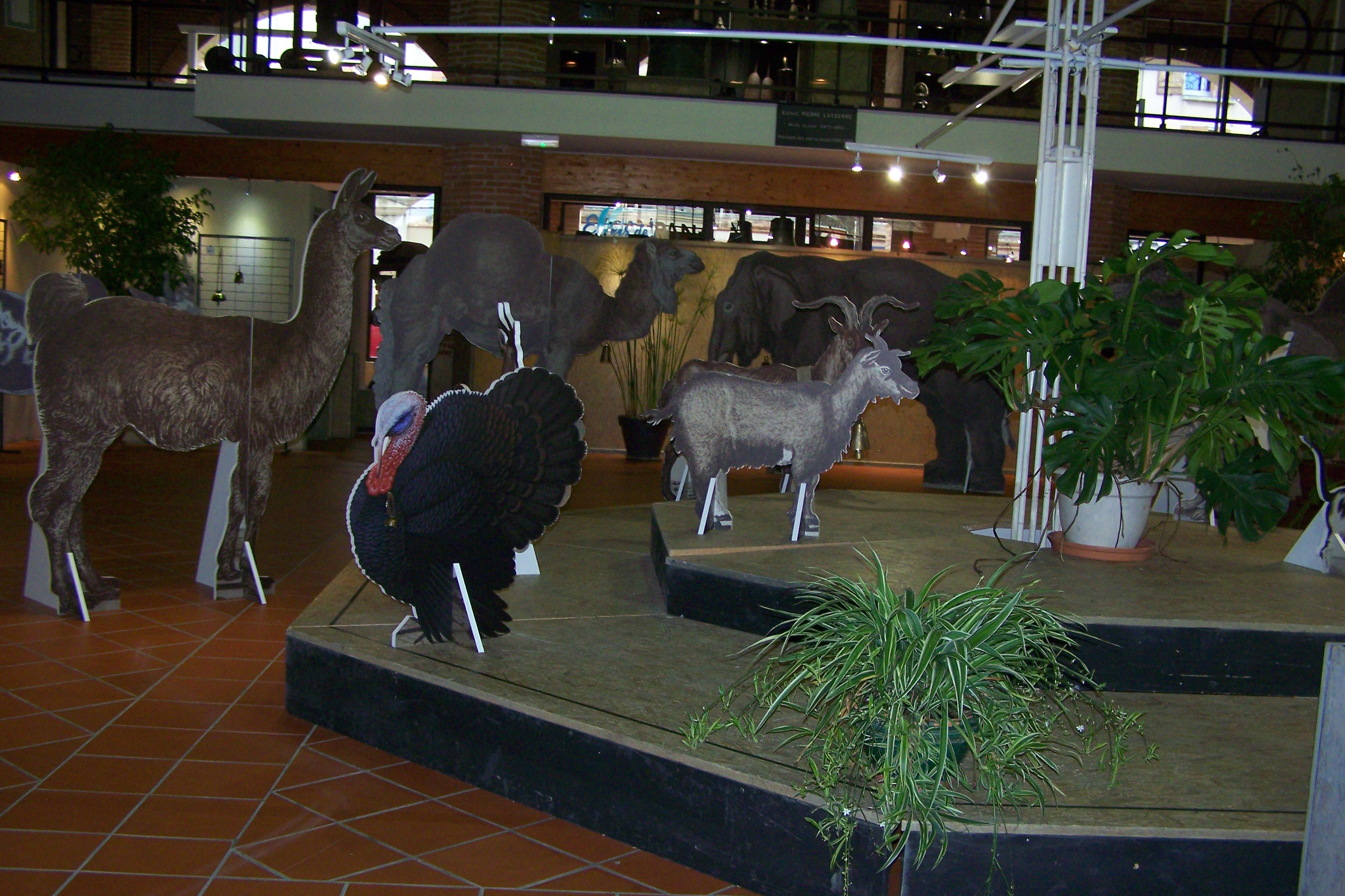expo musée de L'isle Jourdain les Sonnailles 009.JPG