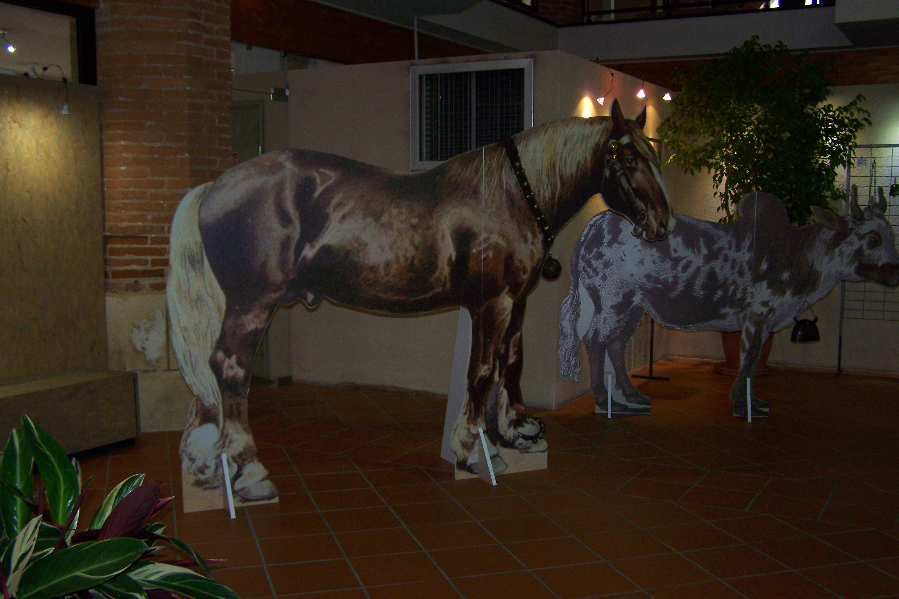 expo musée de L'isle Jourdain les Sonnailles 001.JPG