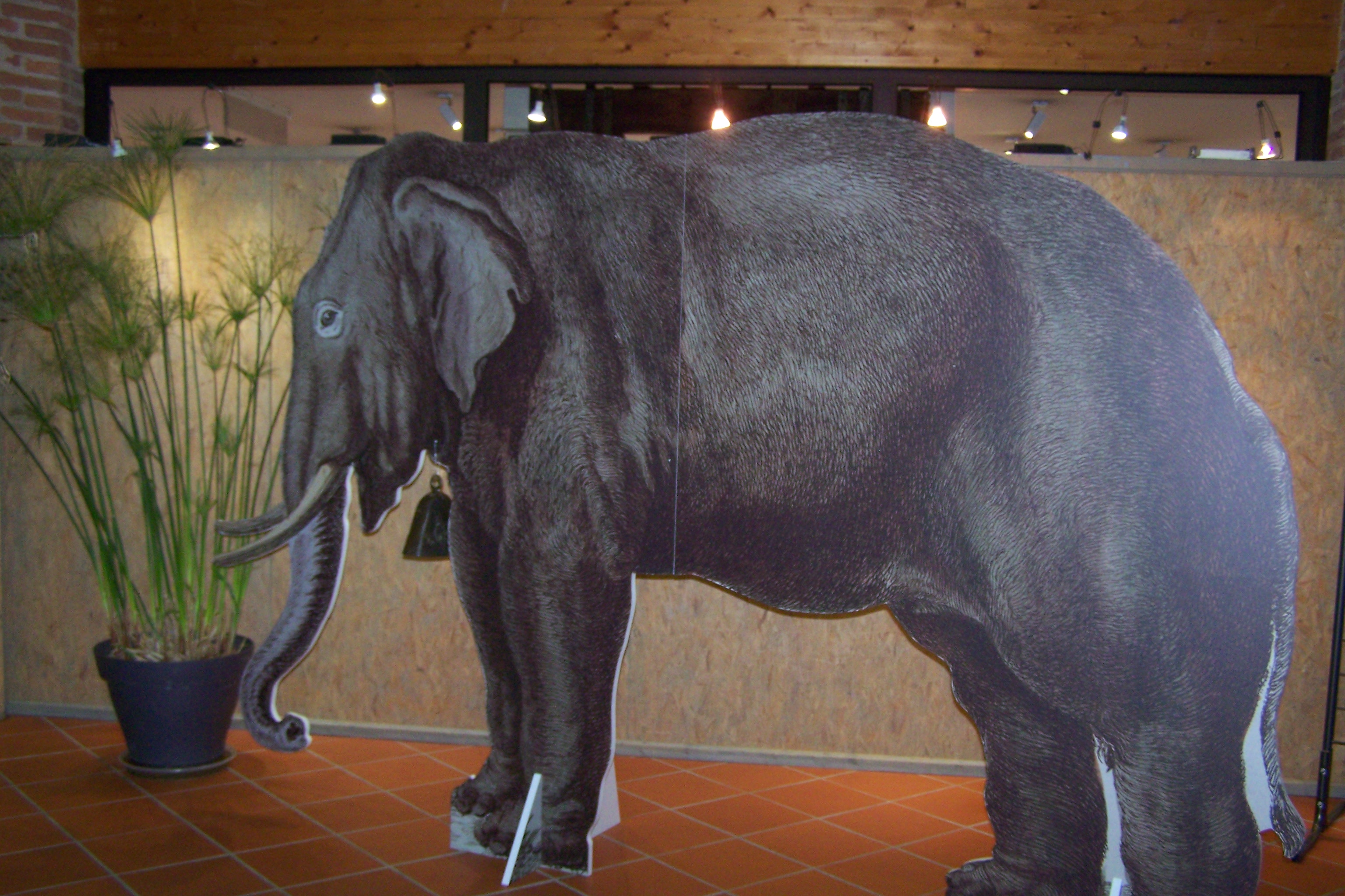 expo musée de L'isle Jourdain les Sonnailles 003.JPG