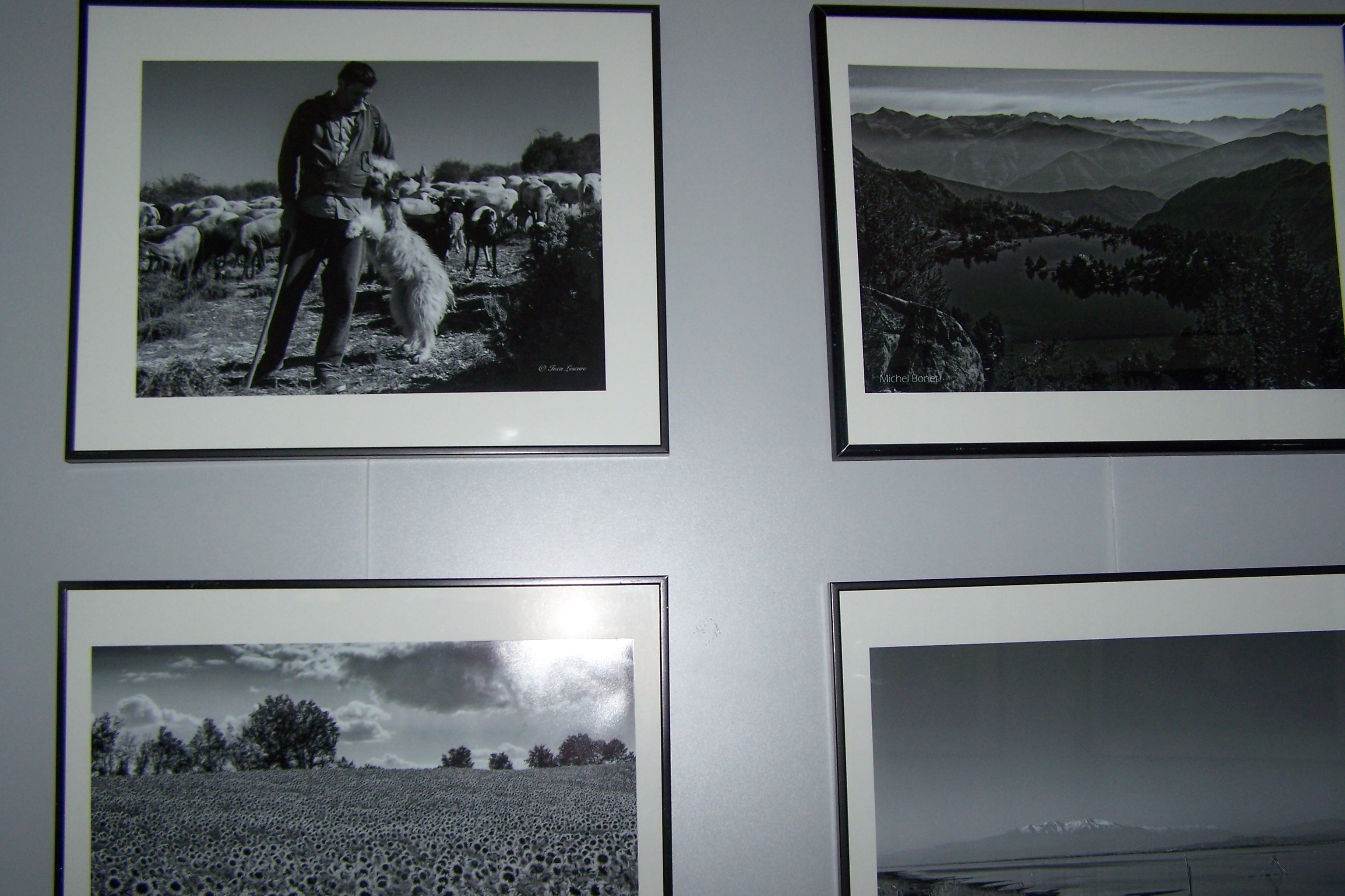 Planches de jardin Sarrant et photo club lectoure à St Clar 013.JPG