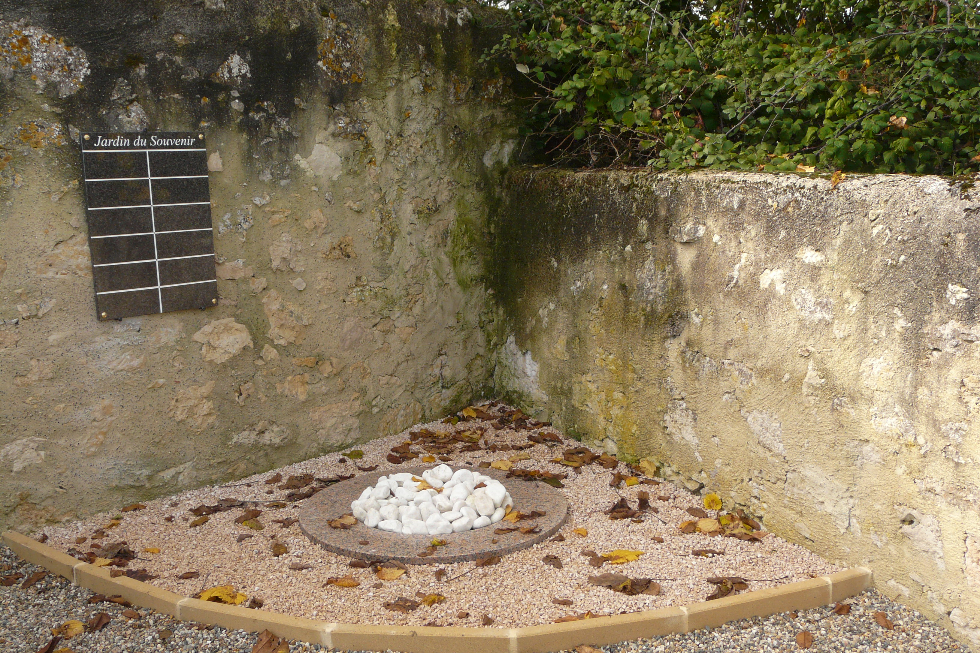 20201102_0297.JPG