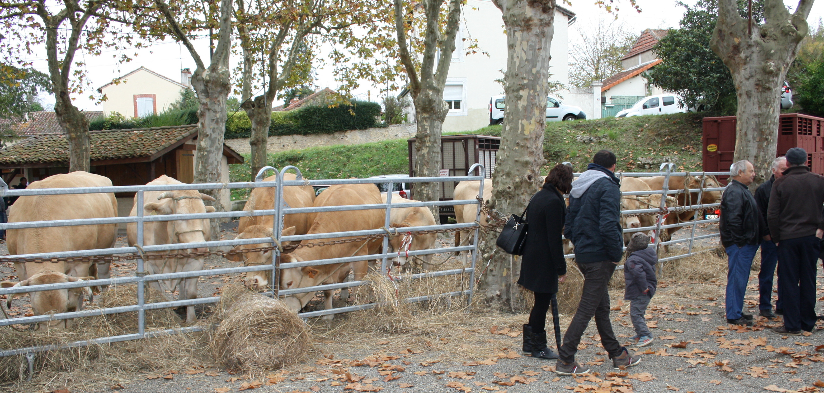 FOIRE RISCLE 014 A.JPG