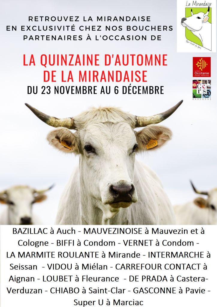 affiche pour pub mirandaise nov 2020.jpg