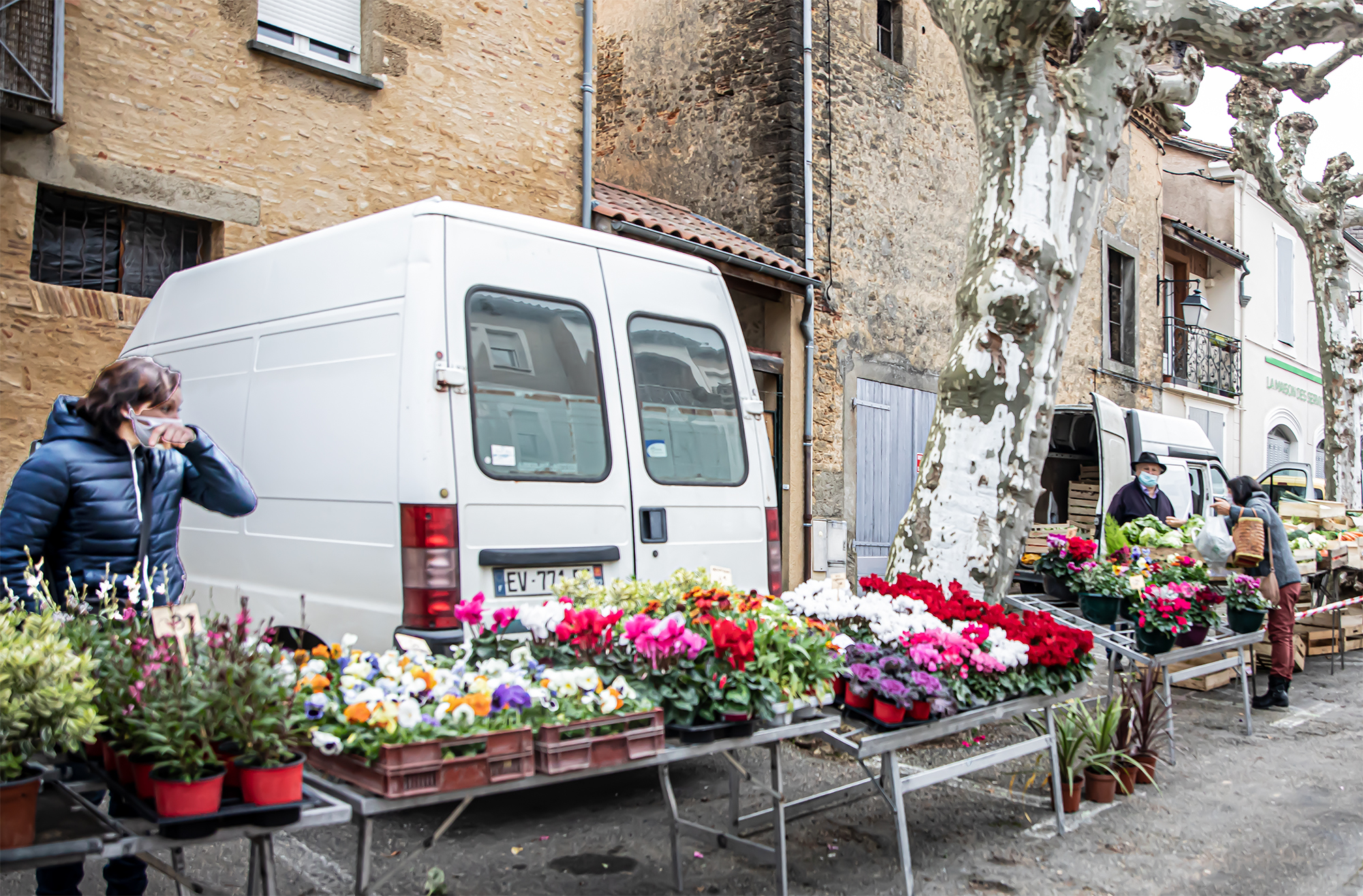 3 Etal de fleurs samedi 1bis 271120.jpg