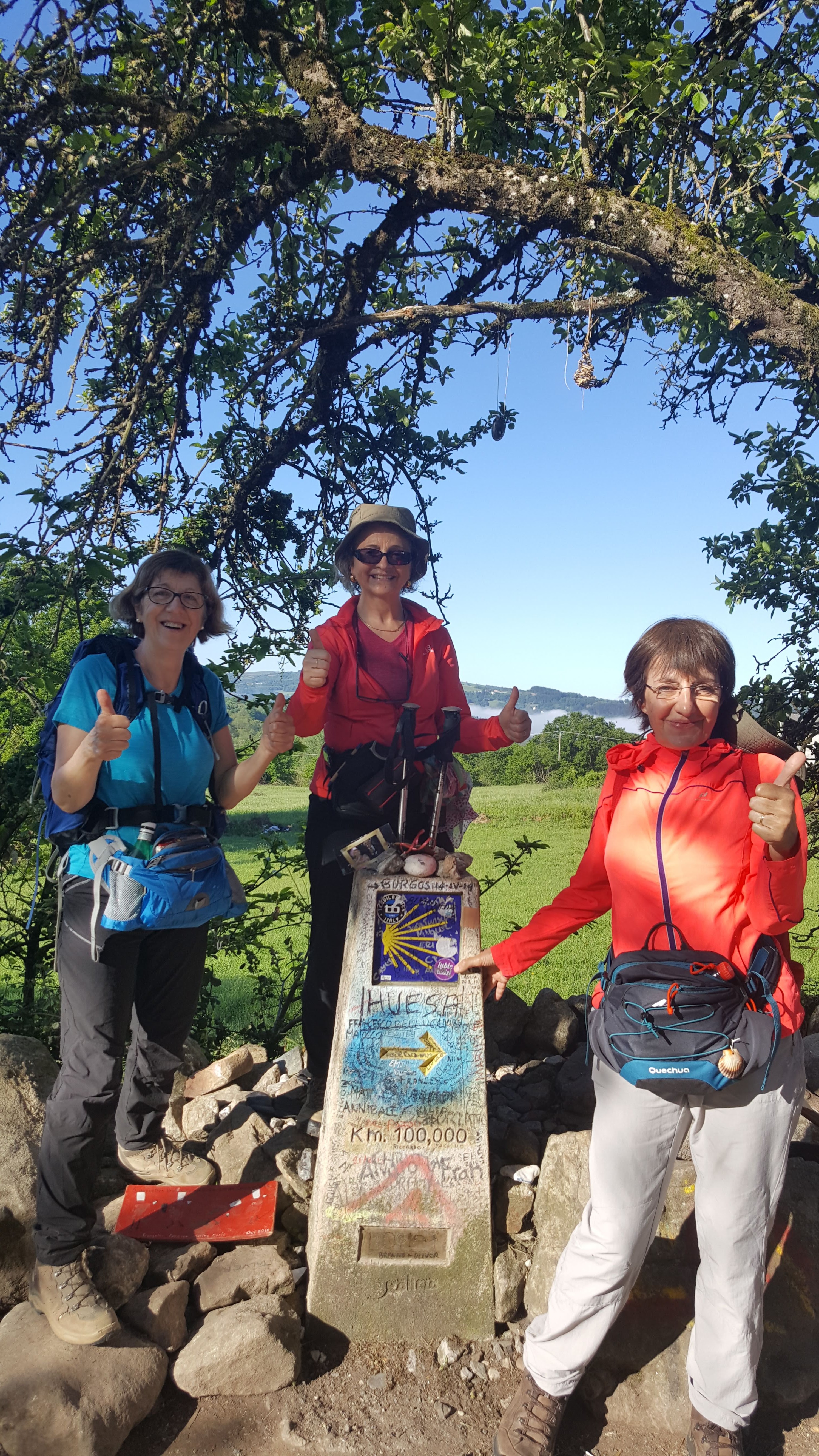 Borne 100 km 2019.jpg