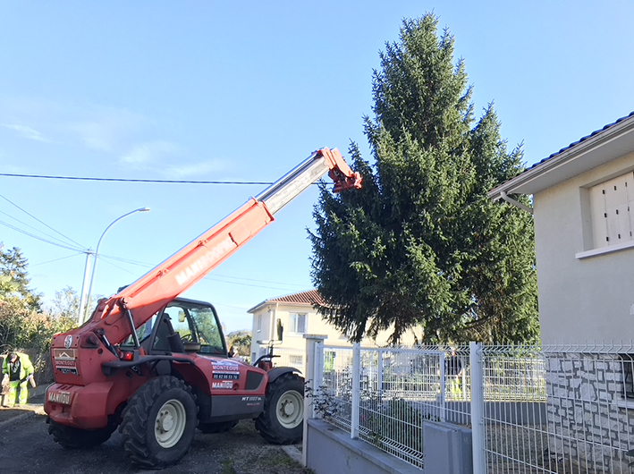 sapin noel mirand.jpg