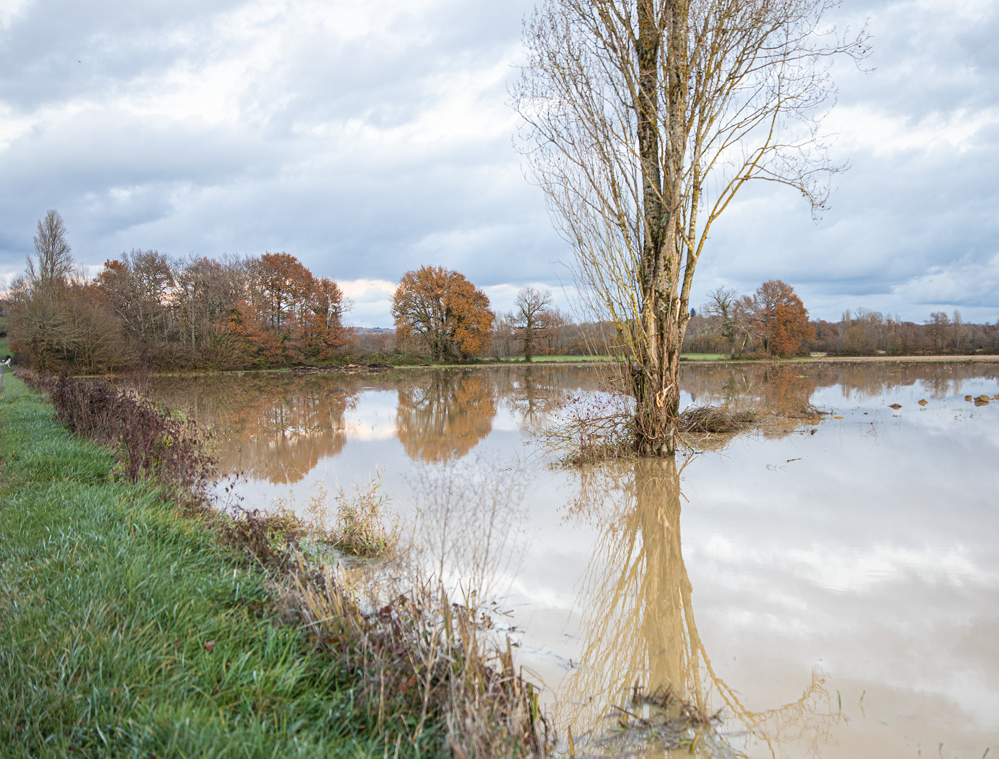 4 Champ inondé 1bis 081220.jpg