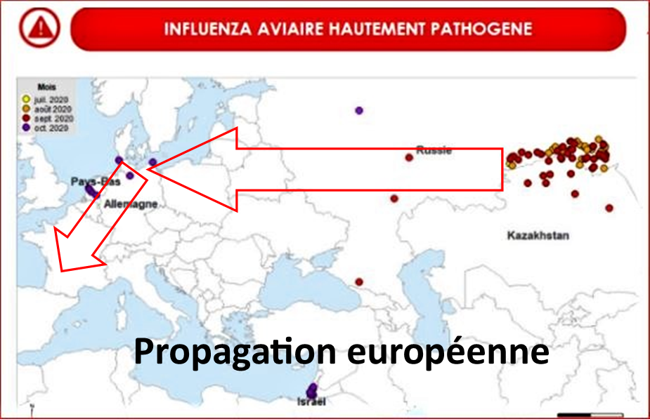 propagation europe.png