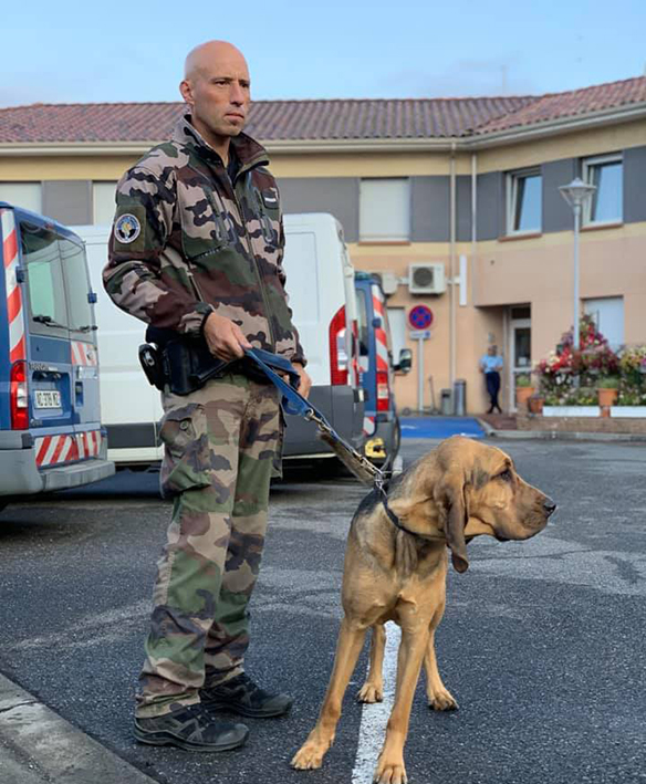 gendarmerie chien crockdur 3.jpg