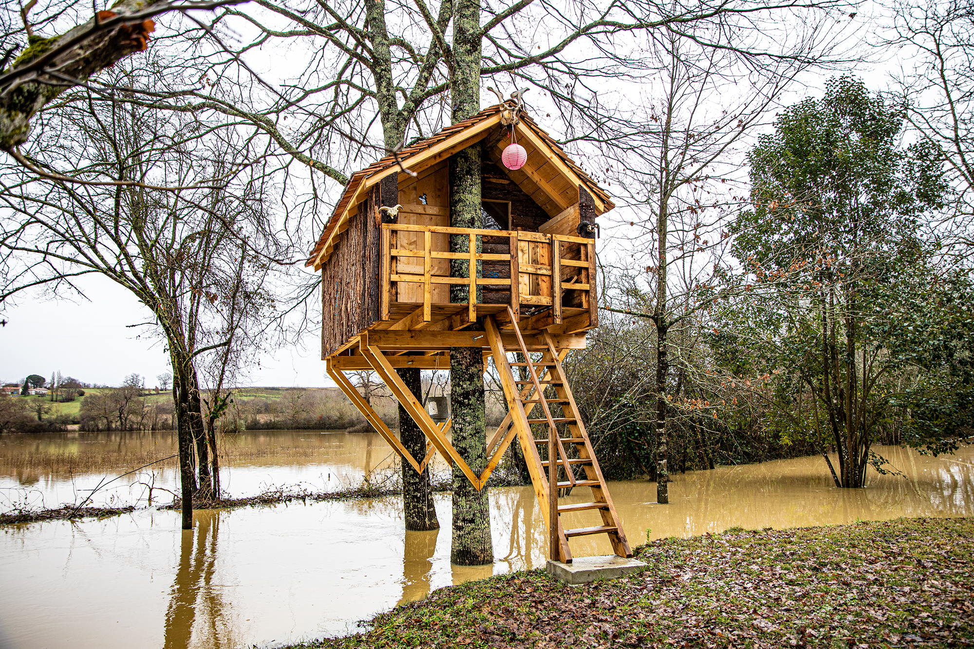 7 Cabane des petits-enfants 1bis 250121.jpg