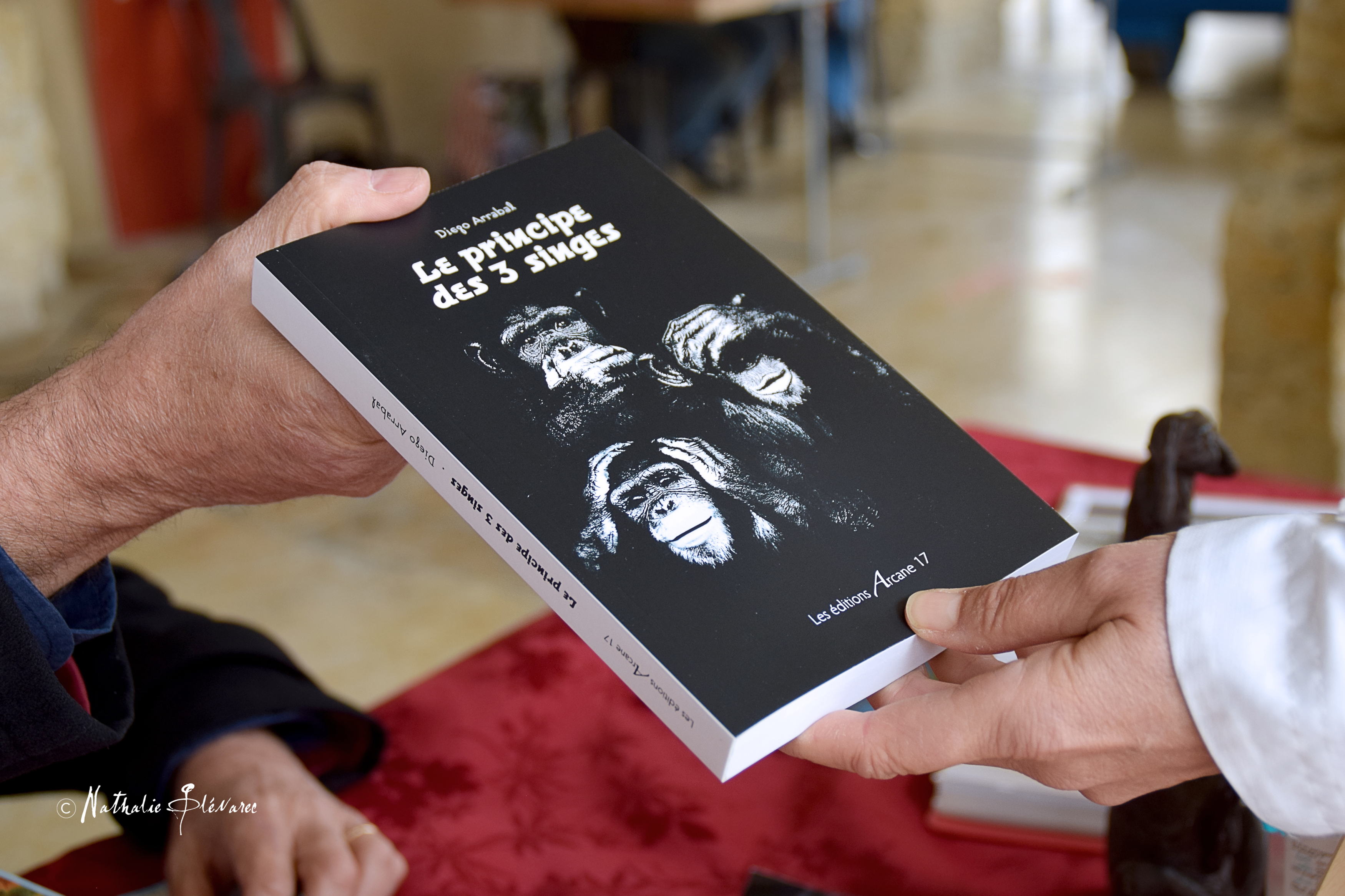 Diego Arrabal main livre 2.jpg