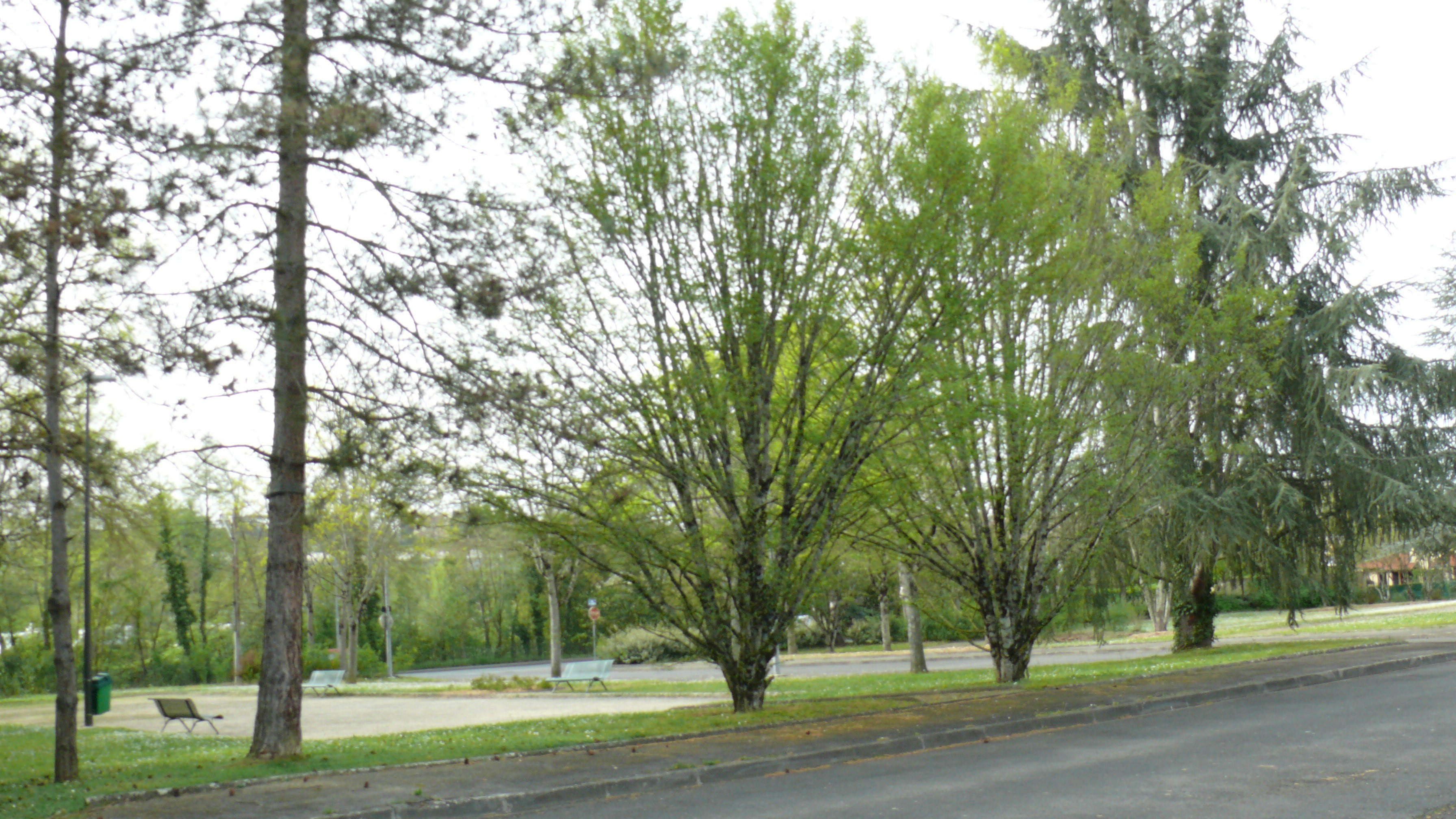 P1680941.JPG