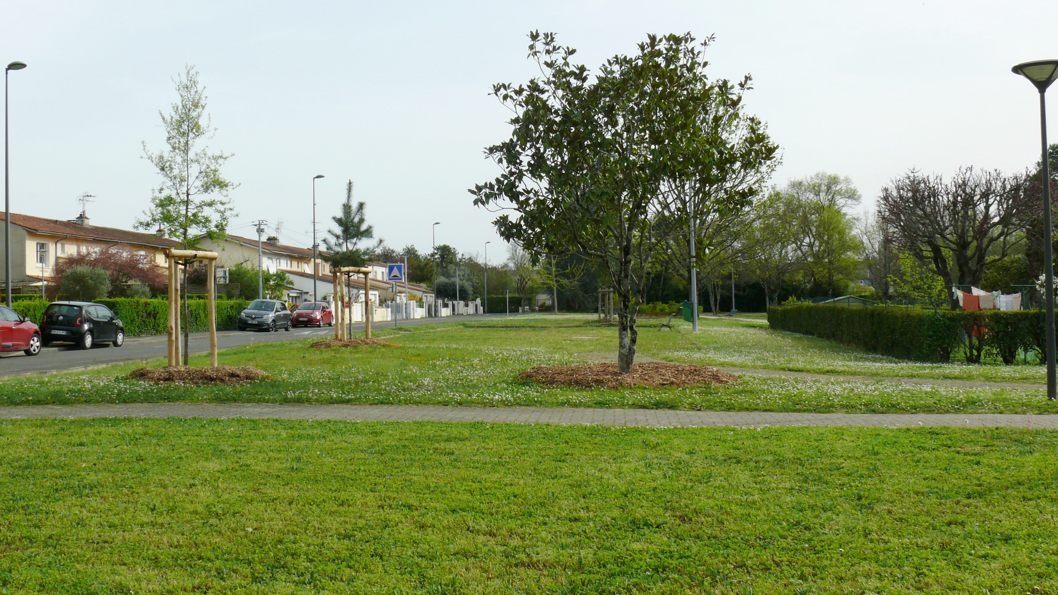 P1680936.JPG