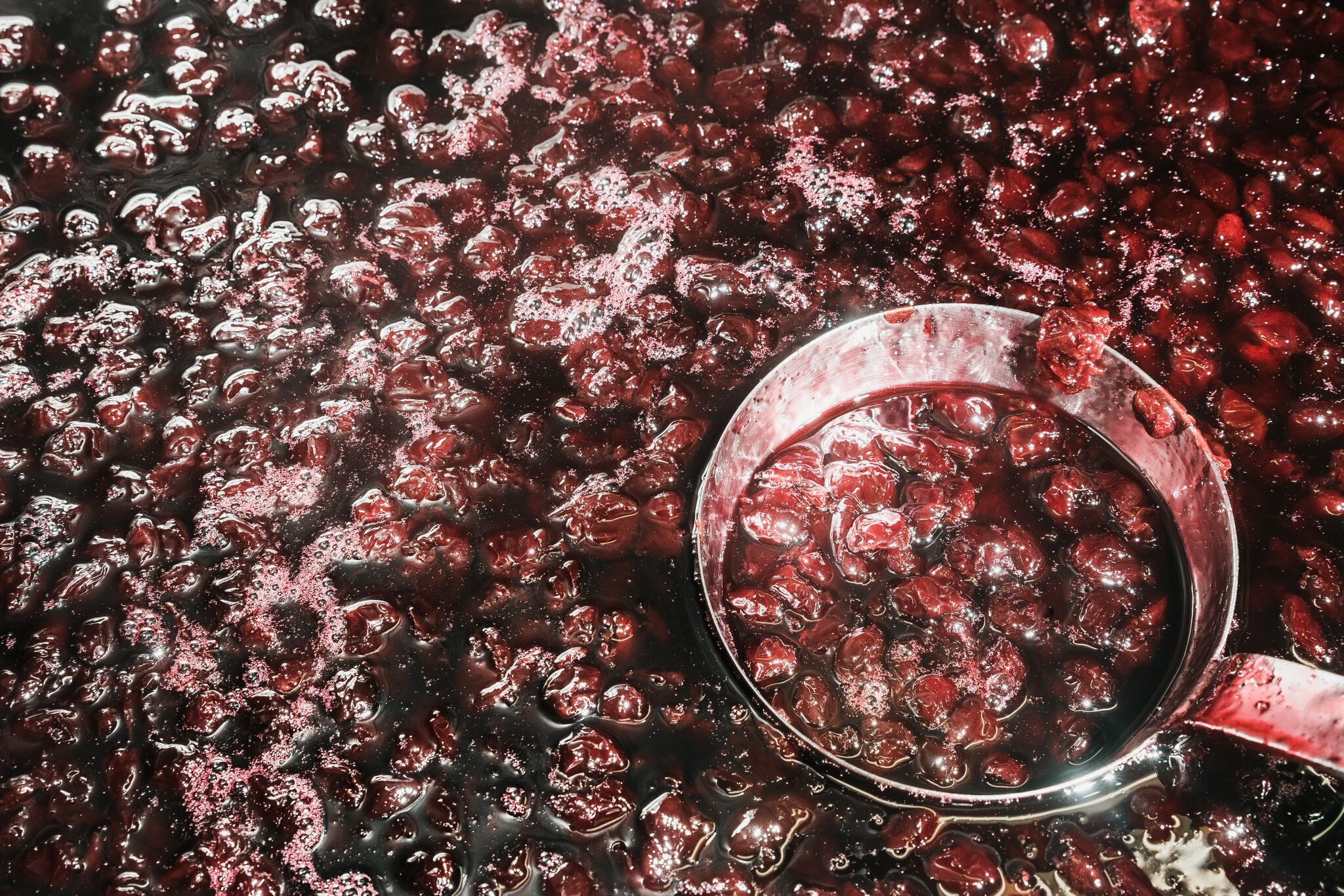 Cerises Débloquées.jpg