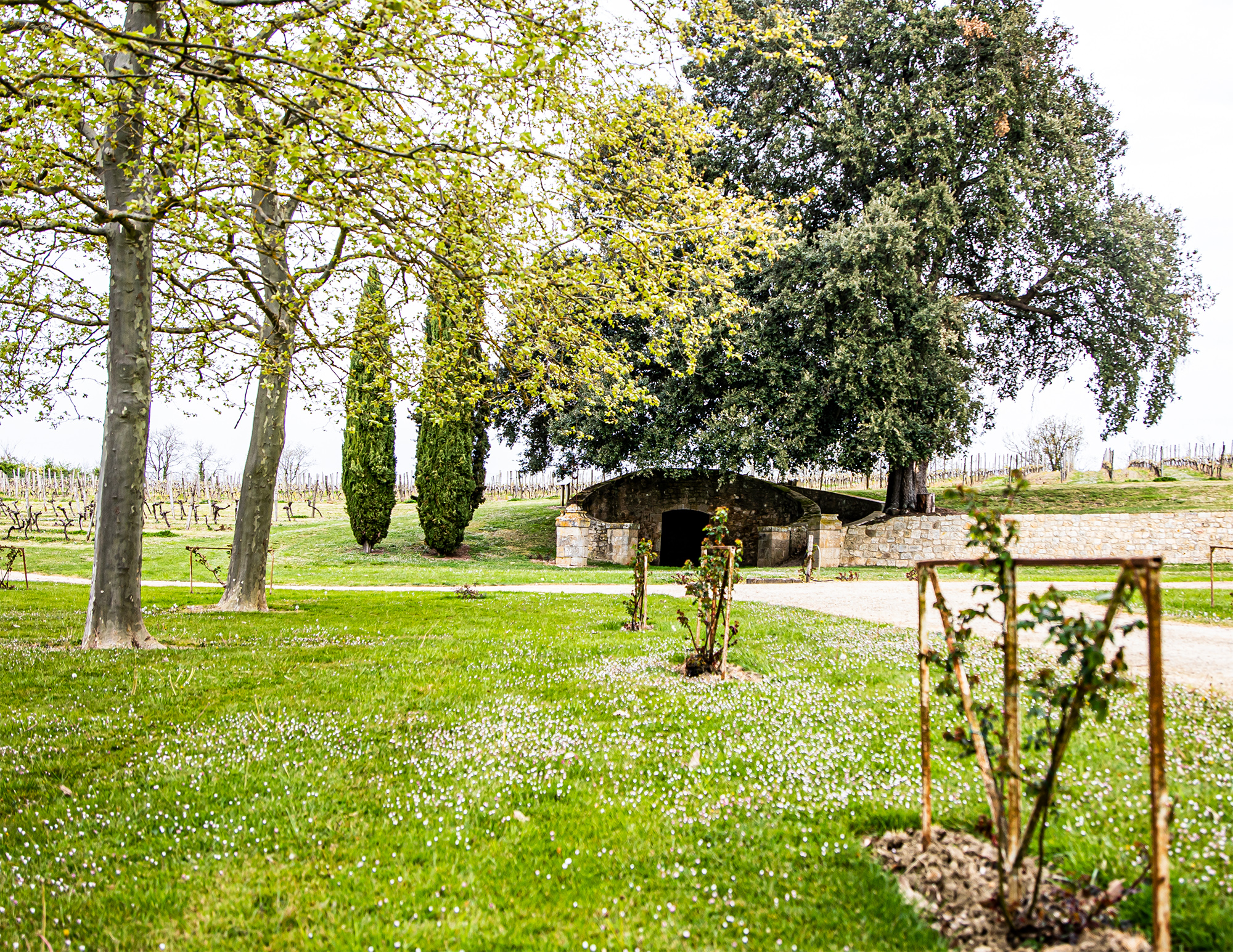 9 Parc du château de Cassaigne 1bis 090421.jpg