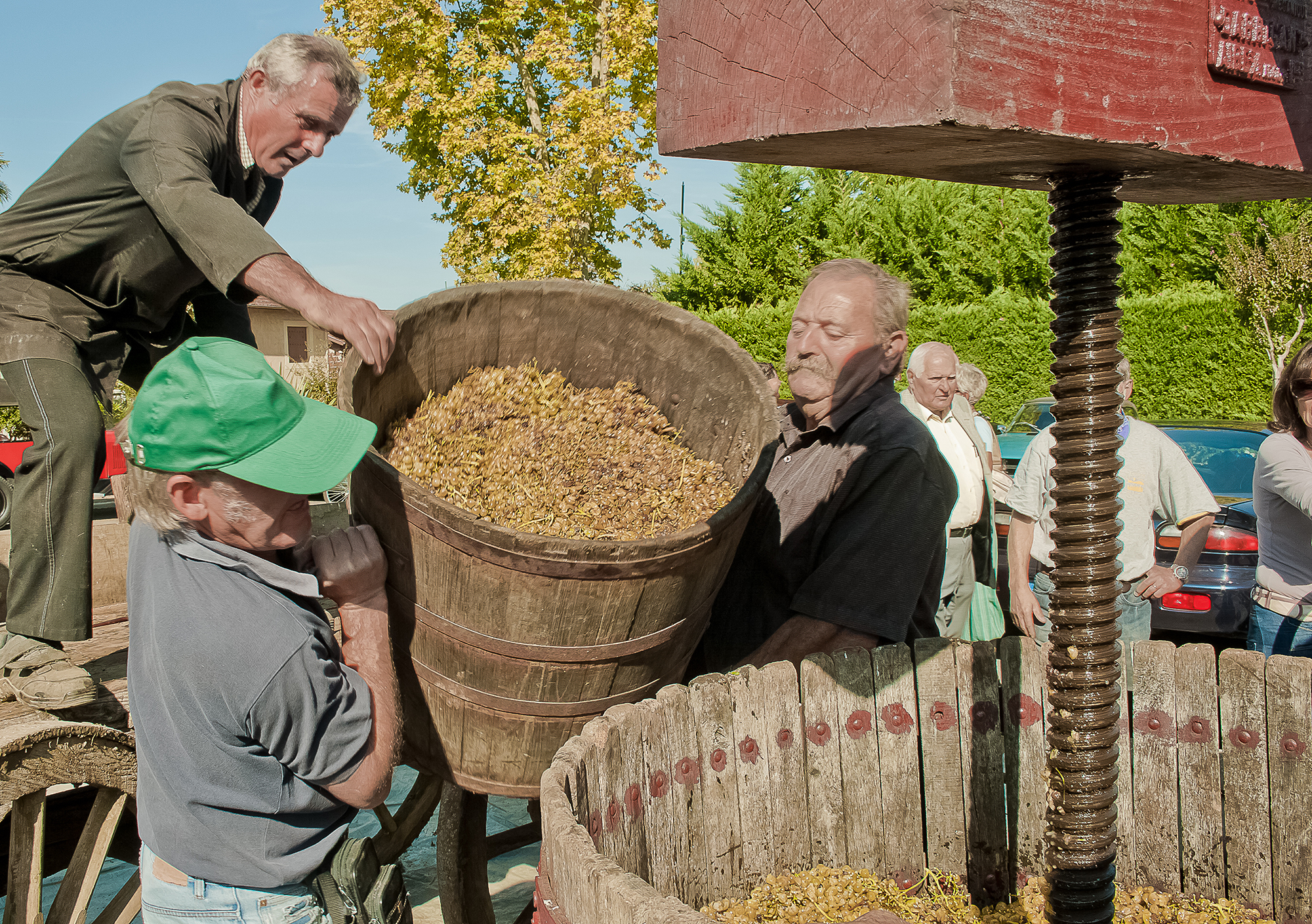 2 Vendanges à l'ancienne 1bis 151011.jpg