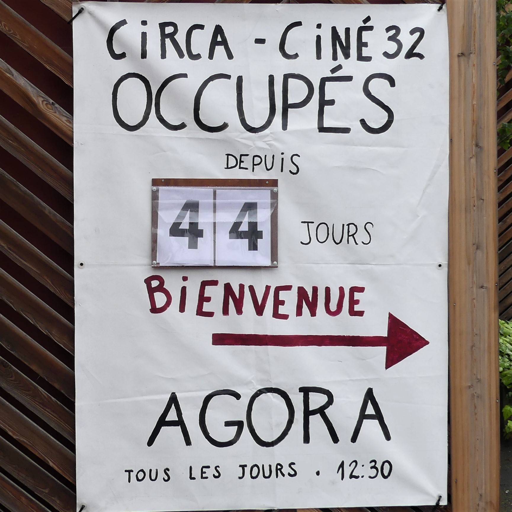 P1150396 (2).JPG