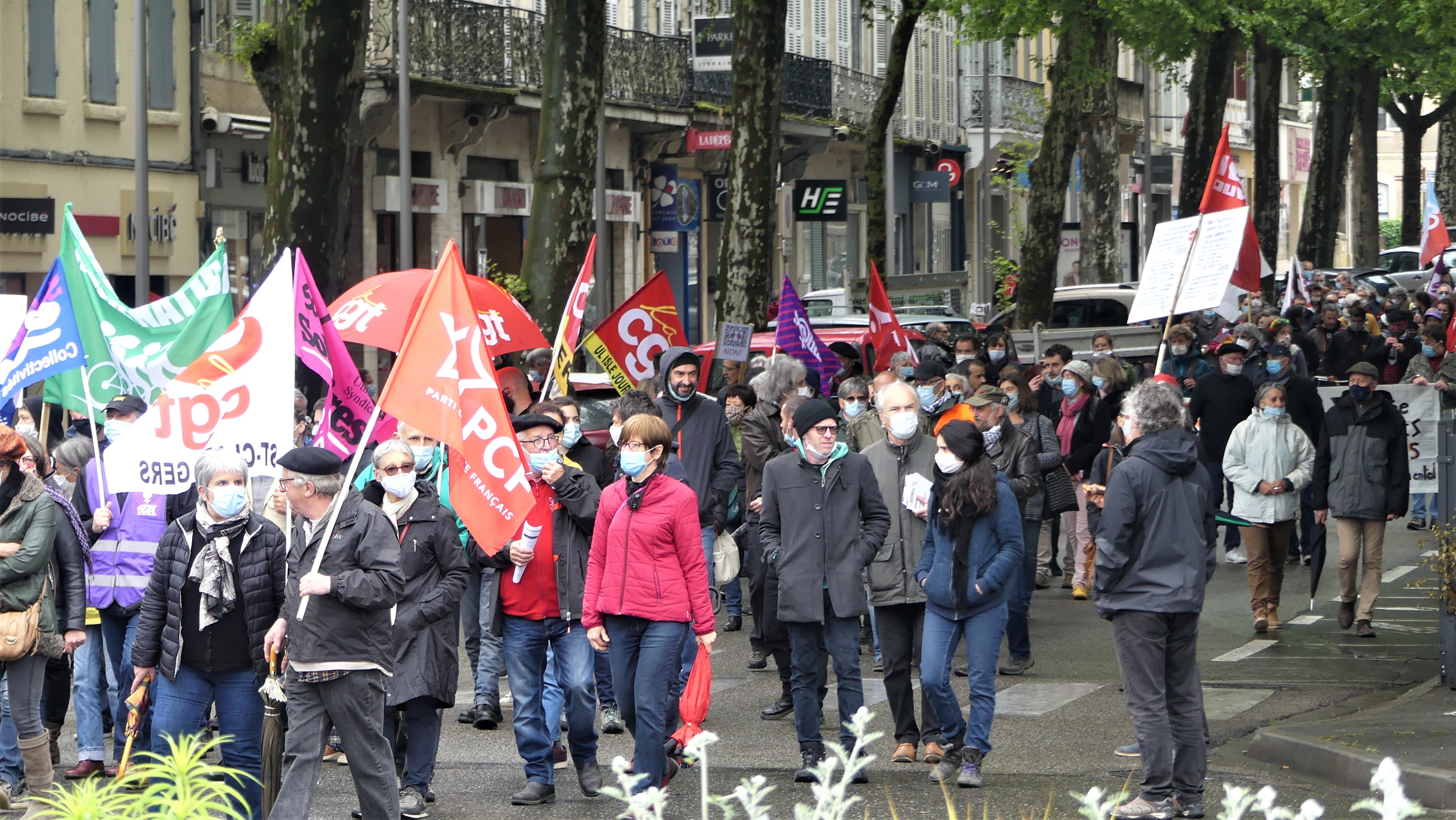P1150360 (2).JPG