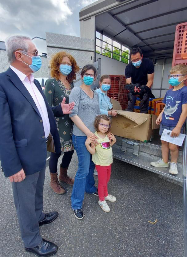 trigone poule famille.jpg