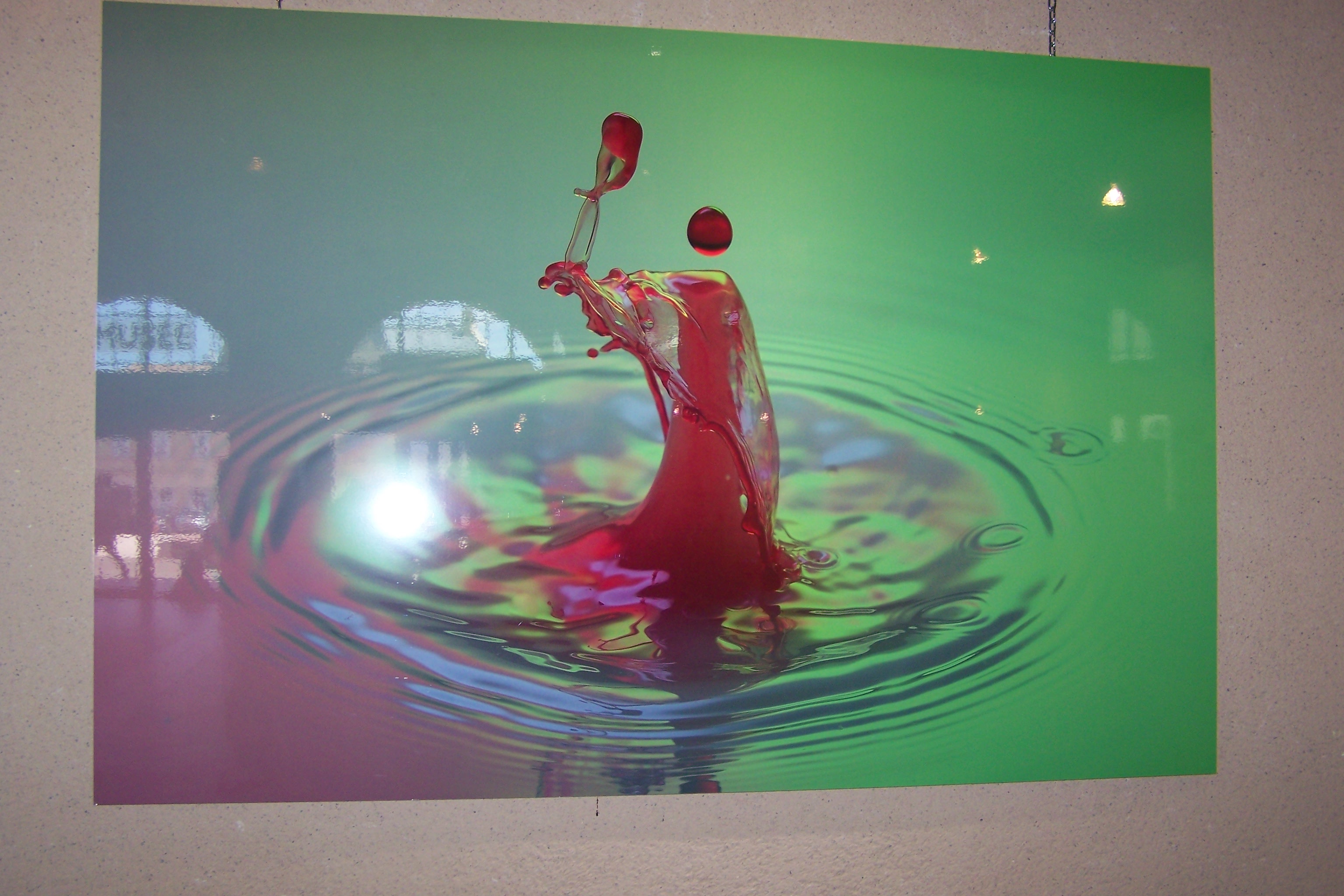 ouverture du musée avec expo mai 2021 009.JPG