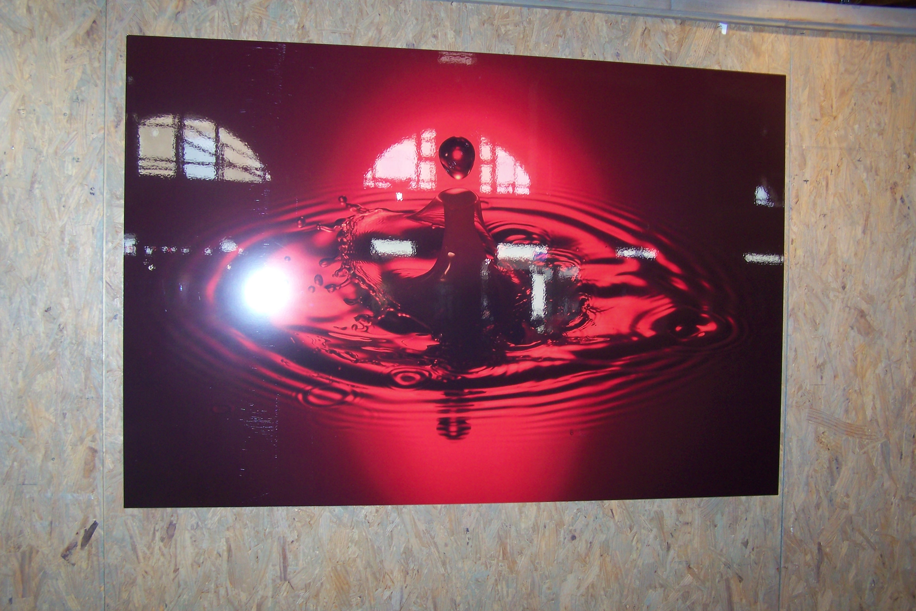 ouverture du musée avec expo mai 2021 011.JPG