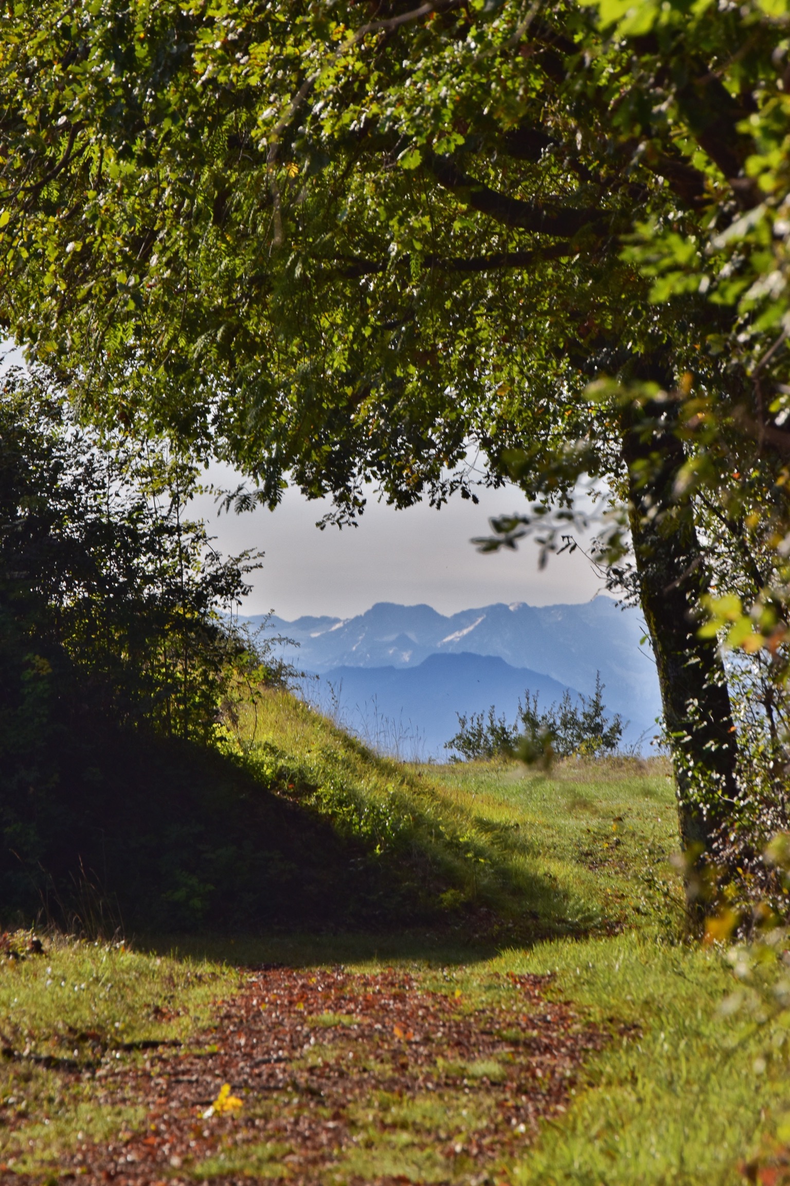 Les Pyrénées encadrées.ST012.jpeg