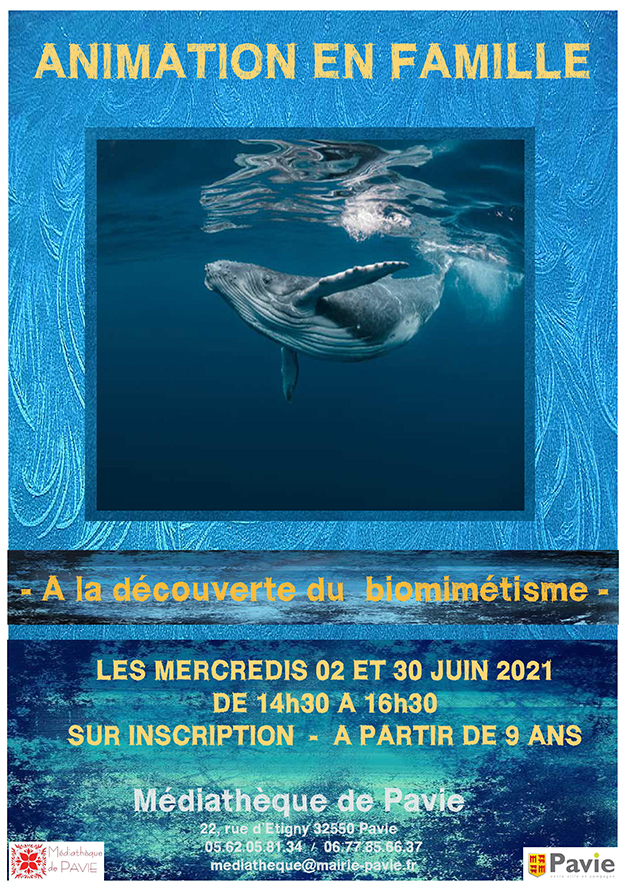 mediatheque pavie.jpg