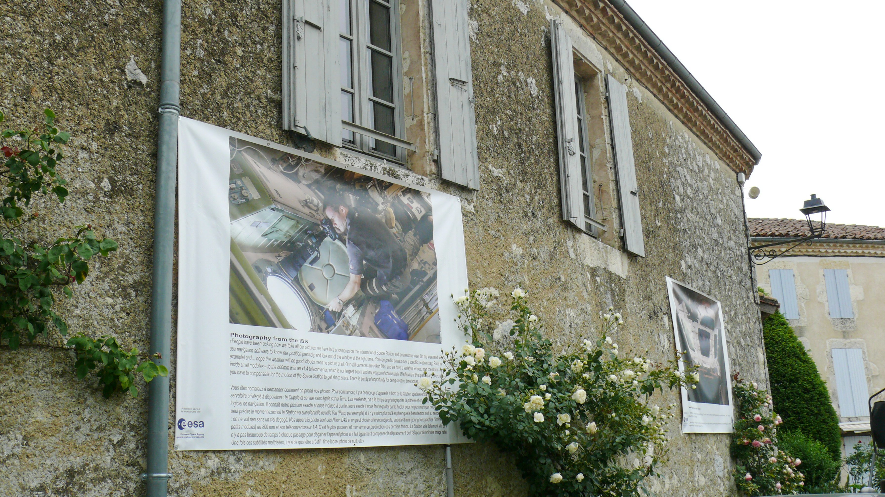 P1690820.JPG
