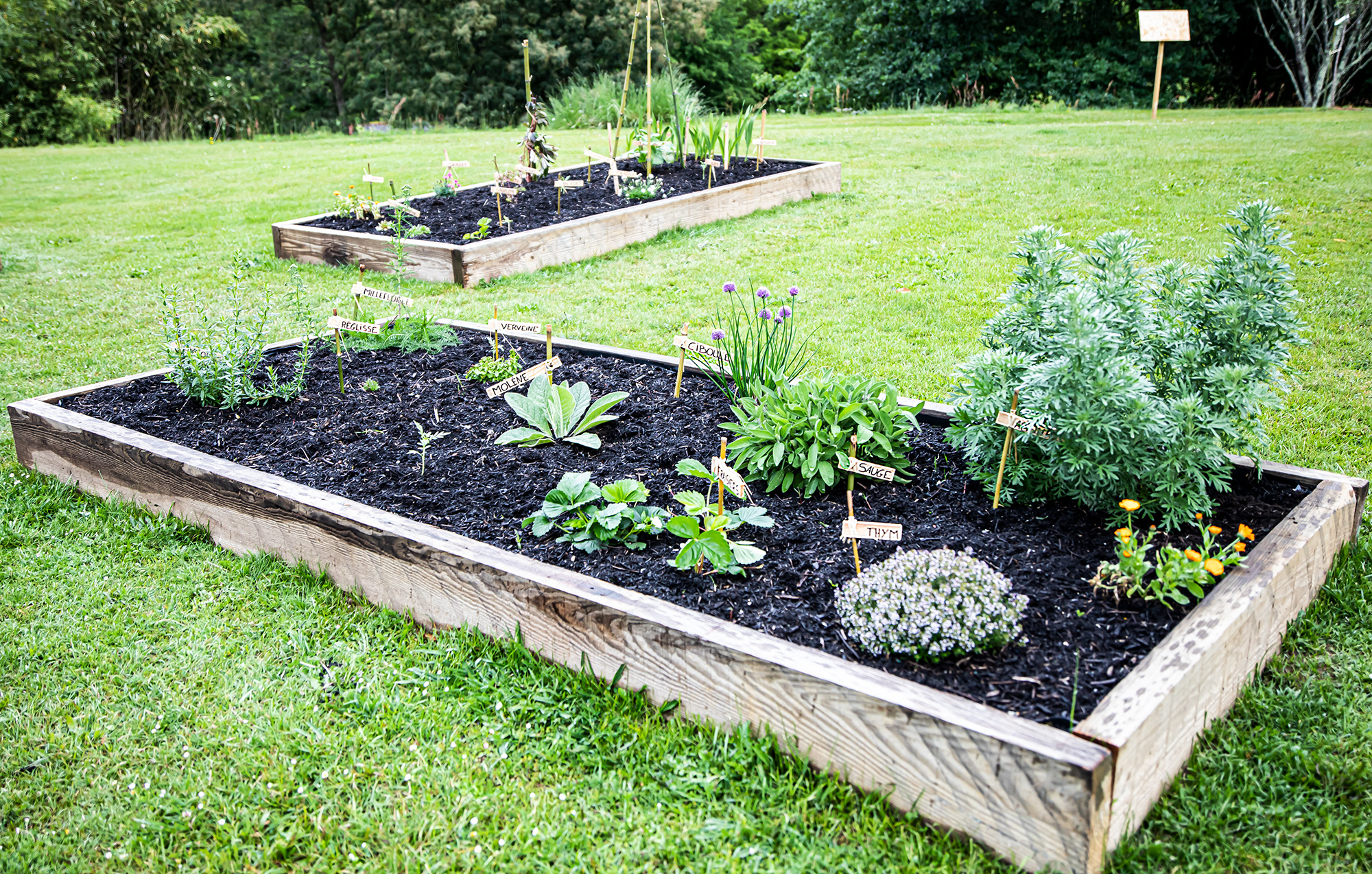 7 Un des carrés du jardin médiéval 1bis 180521.jpg