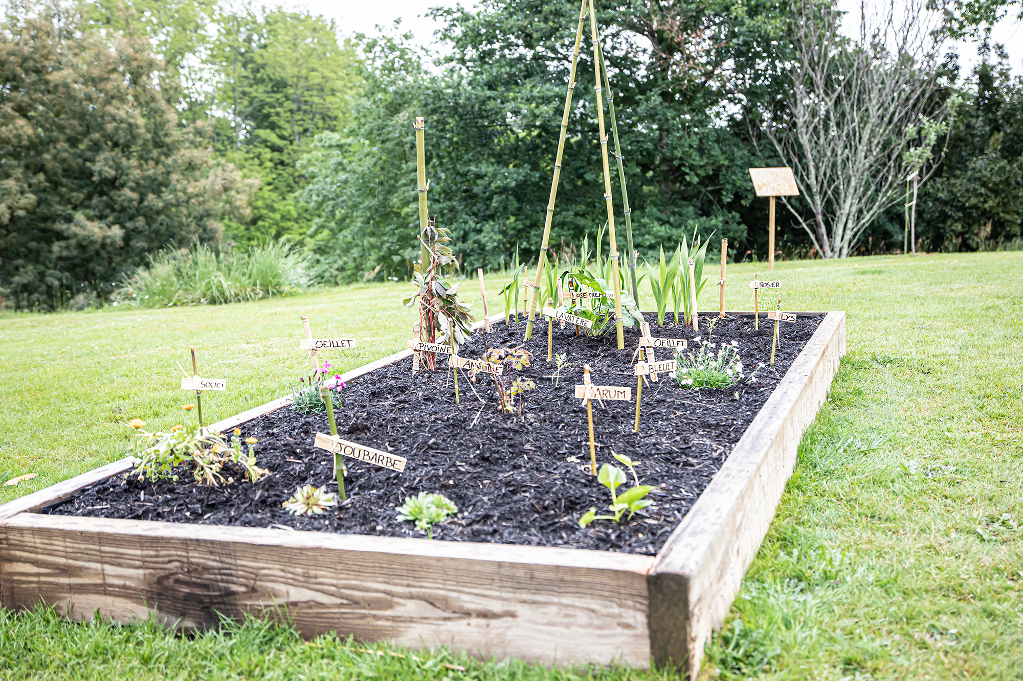 4 Un des carrés du jardin médiéval 1bis 180521.jpg