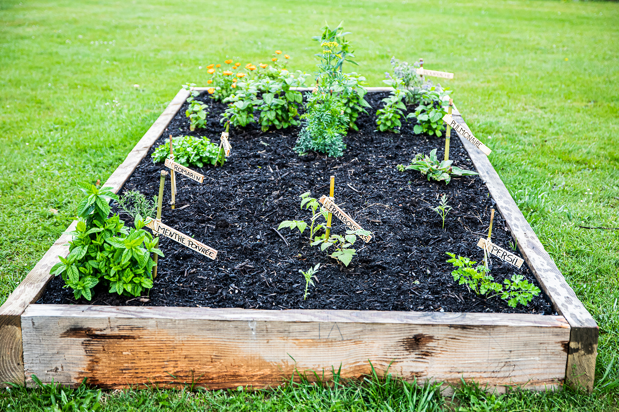 6 Un des carrés du jardin médiéval 1bis 180521.jpg