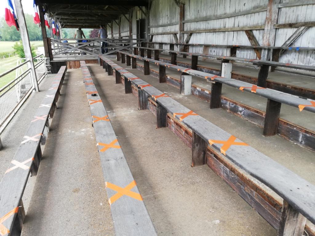 tribune.jpg