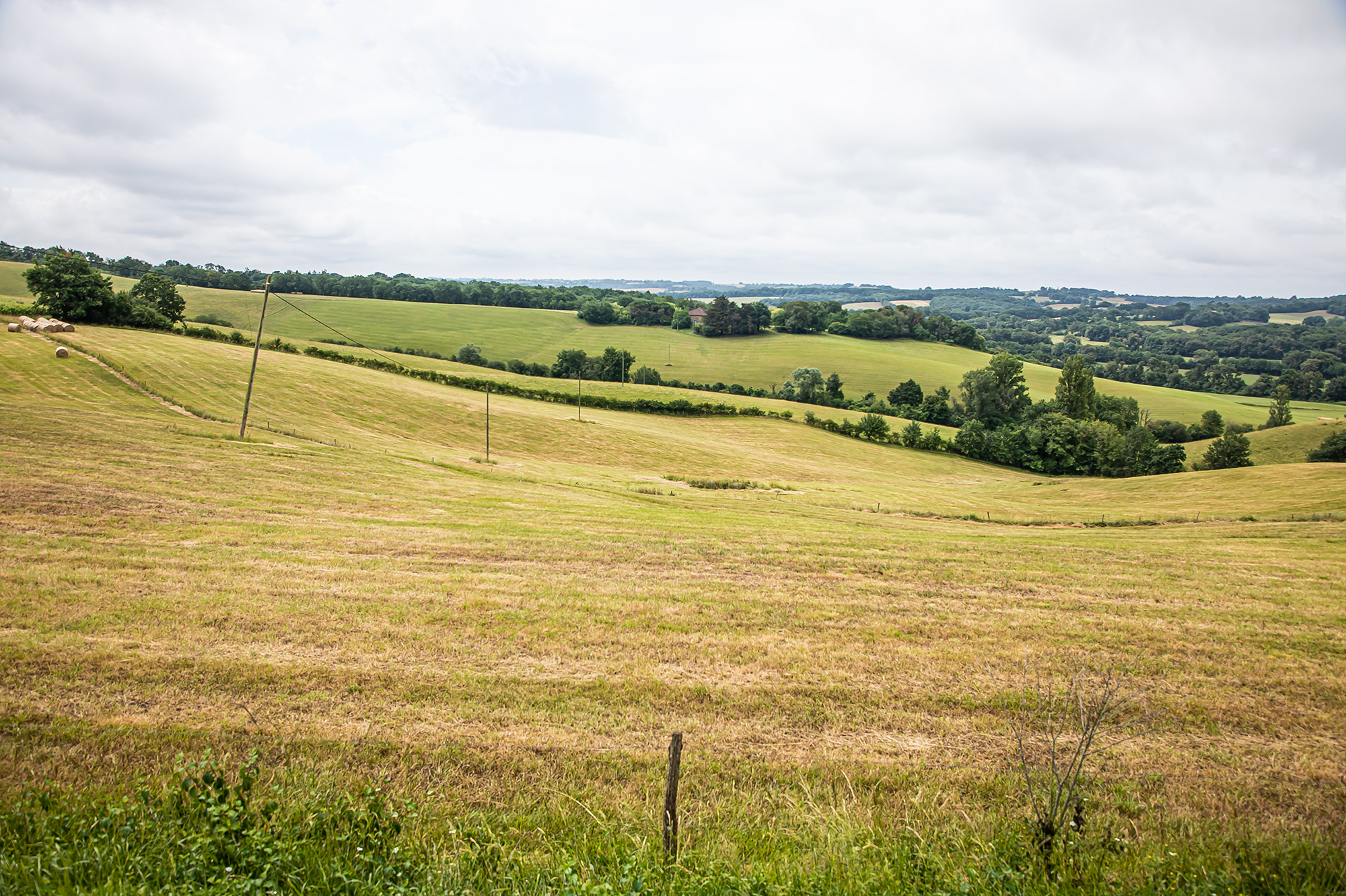 4 Prairie Castelnavet - Saint-Pierre-d'Aubézies 1bis 170621.jpg