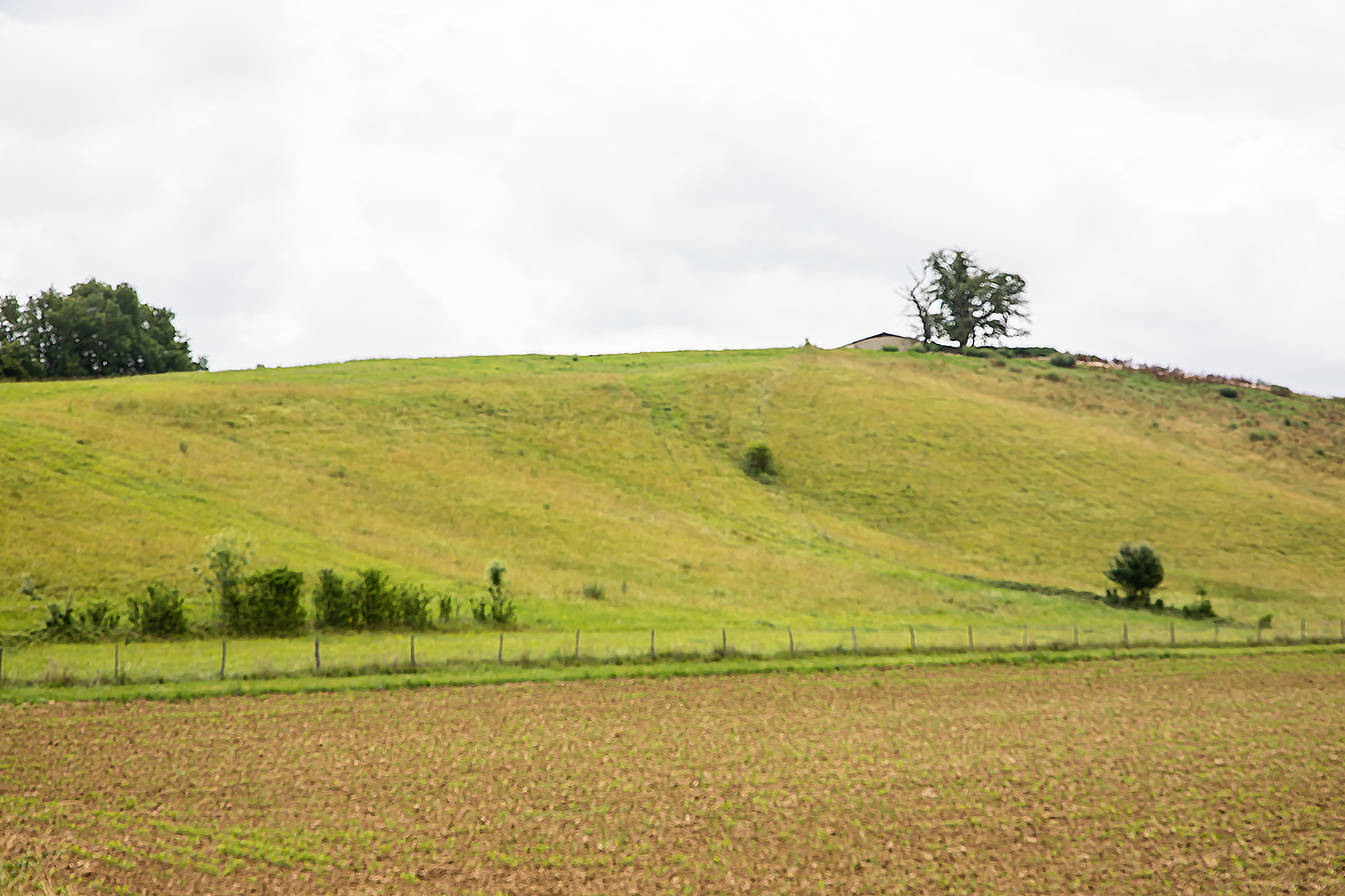 3 Prairie Castelnavet - Saint-Pierre-d'Aubézies 1bis 170621.jpg