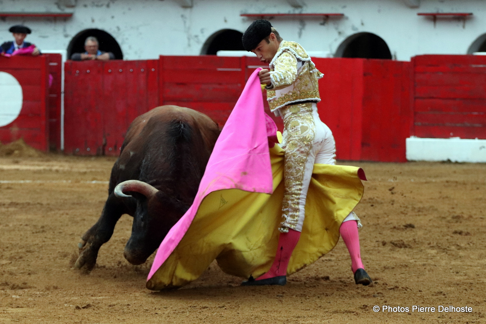 Andy Younes toro 4  Camino de Santiago