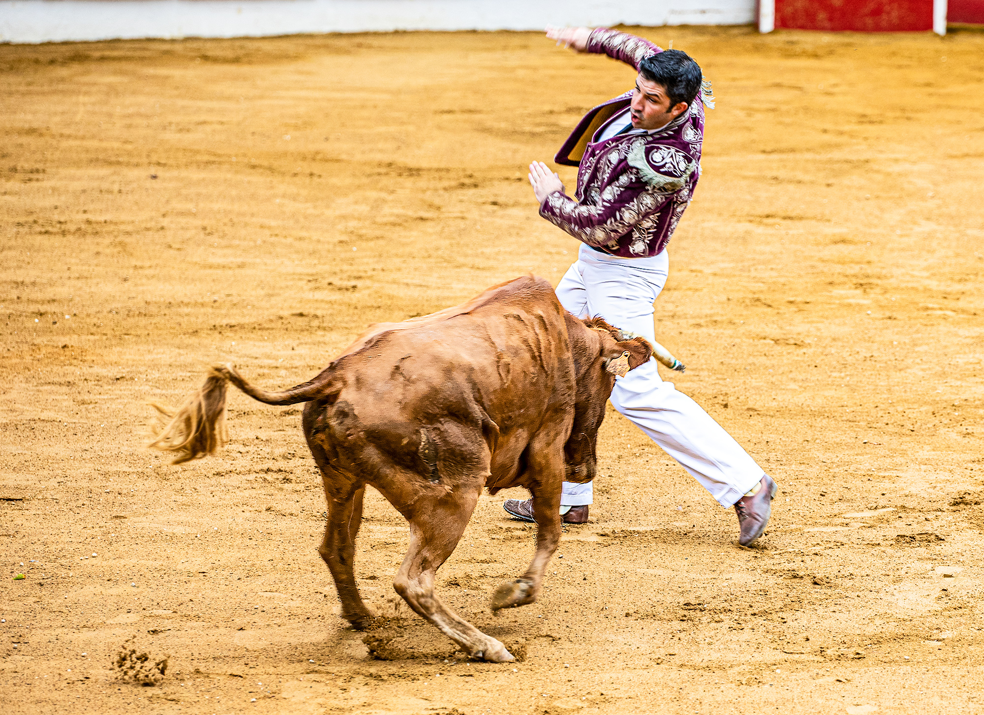 7-1 Séquence 2 1bis 150821.jpg