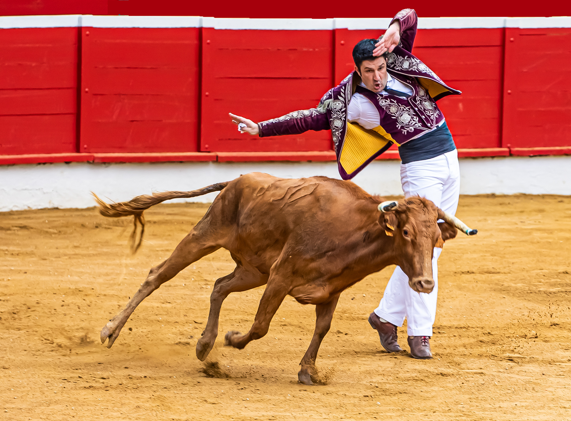 7-3 Séquence 2 1bis 150821.jpg