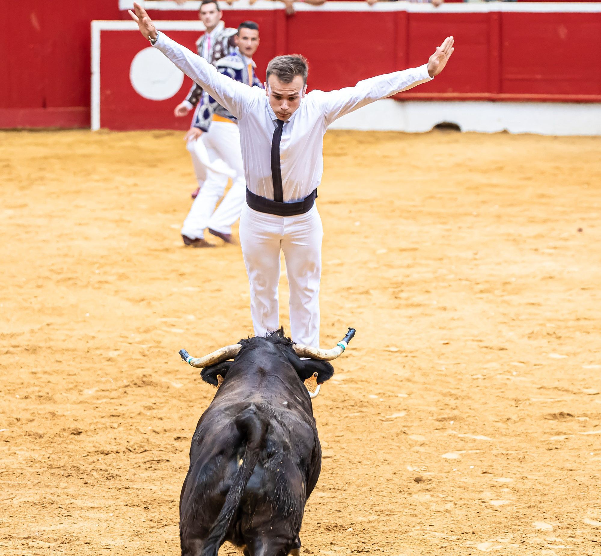 24 Saut 5-2 1bis 150821.jpg