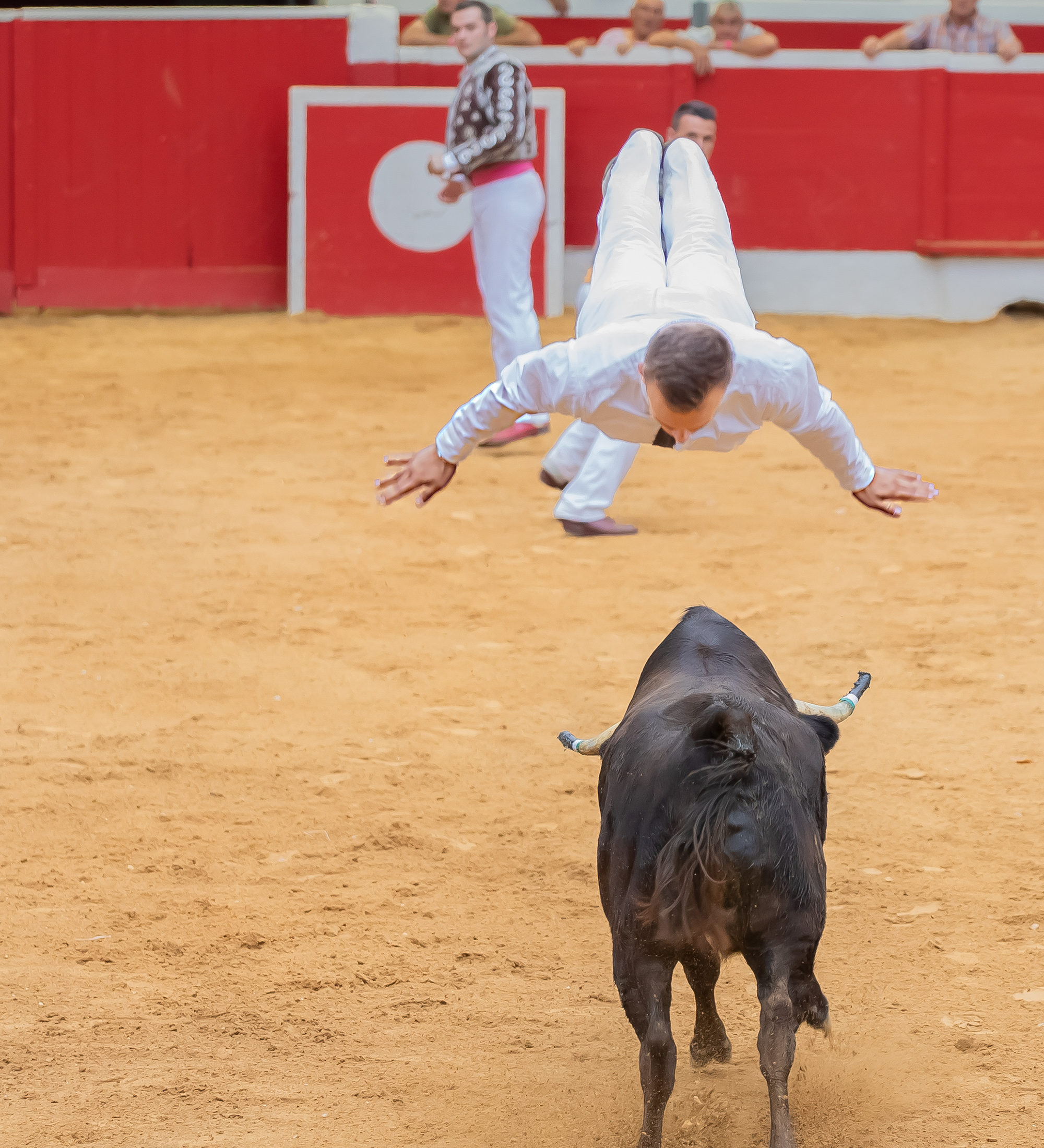 25 Saut 5-3 1bis 150821.jpg