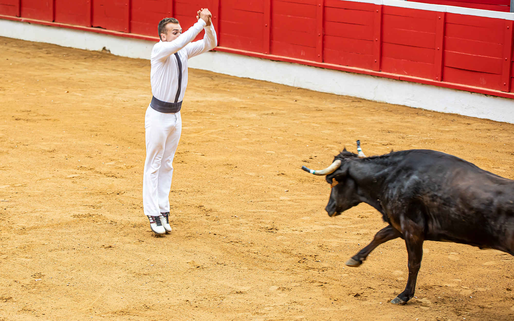 28 Saut 6-1 1bis 150821.jpg