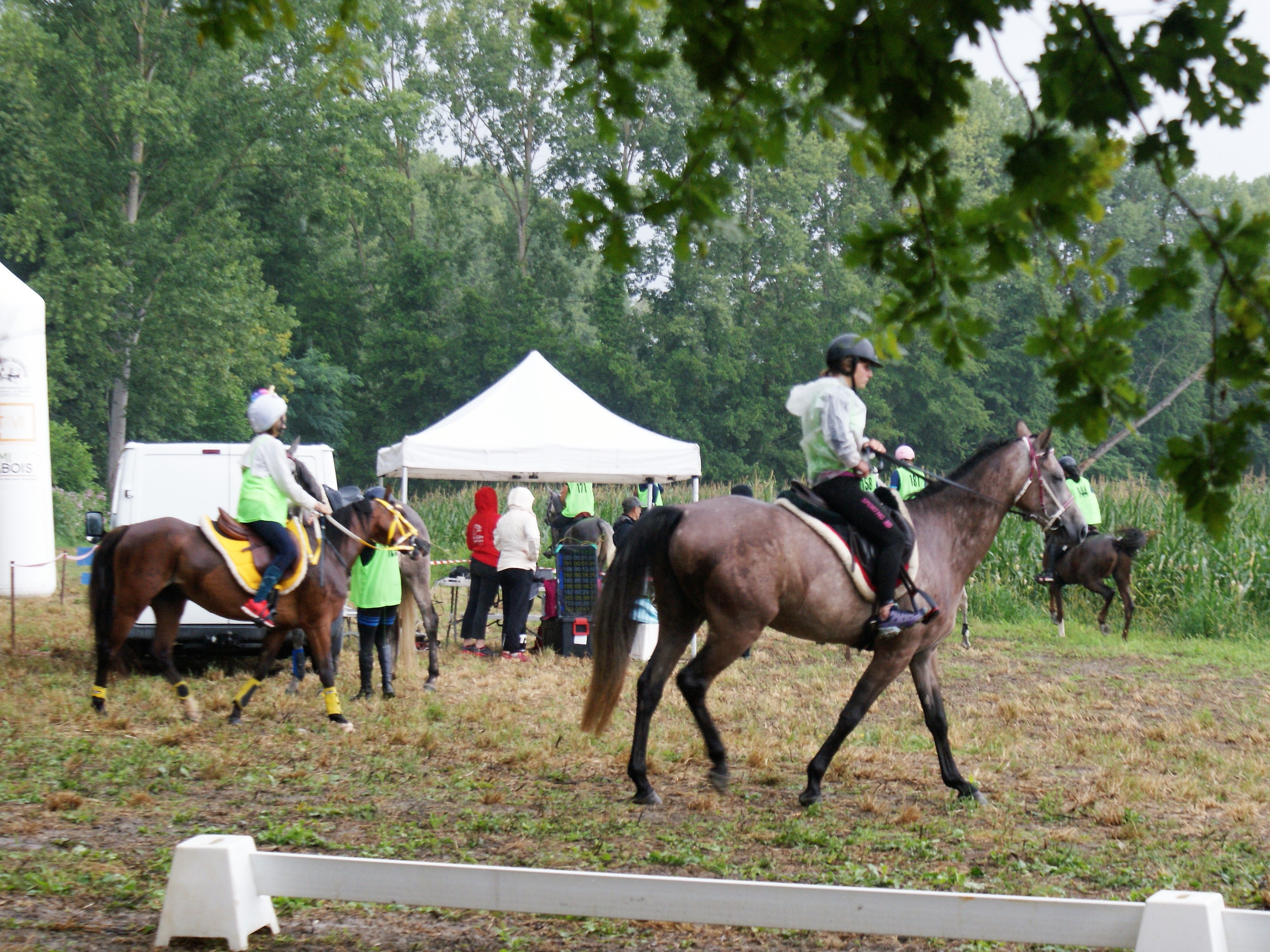 DSC03932 (2).JPG