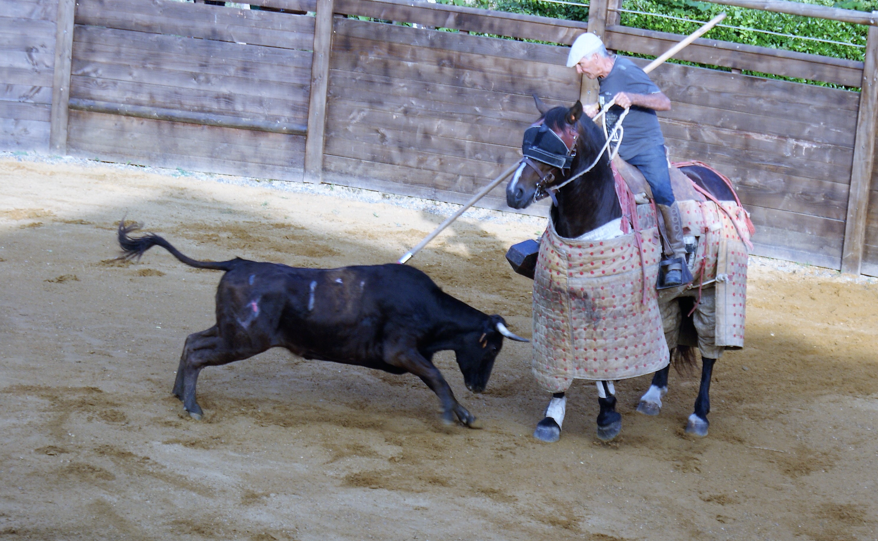 DSC04056 (2).JPG