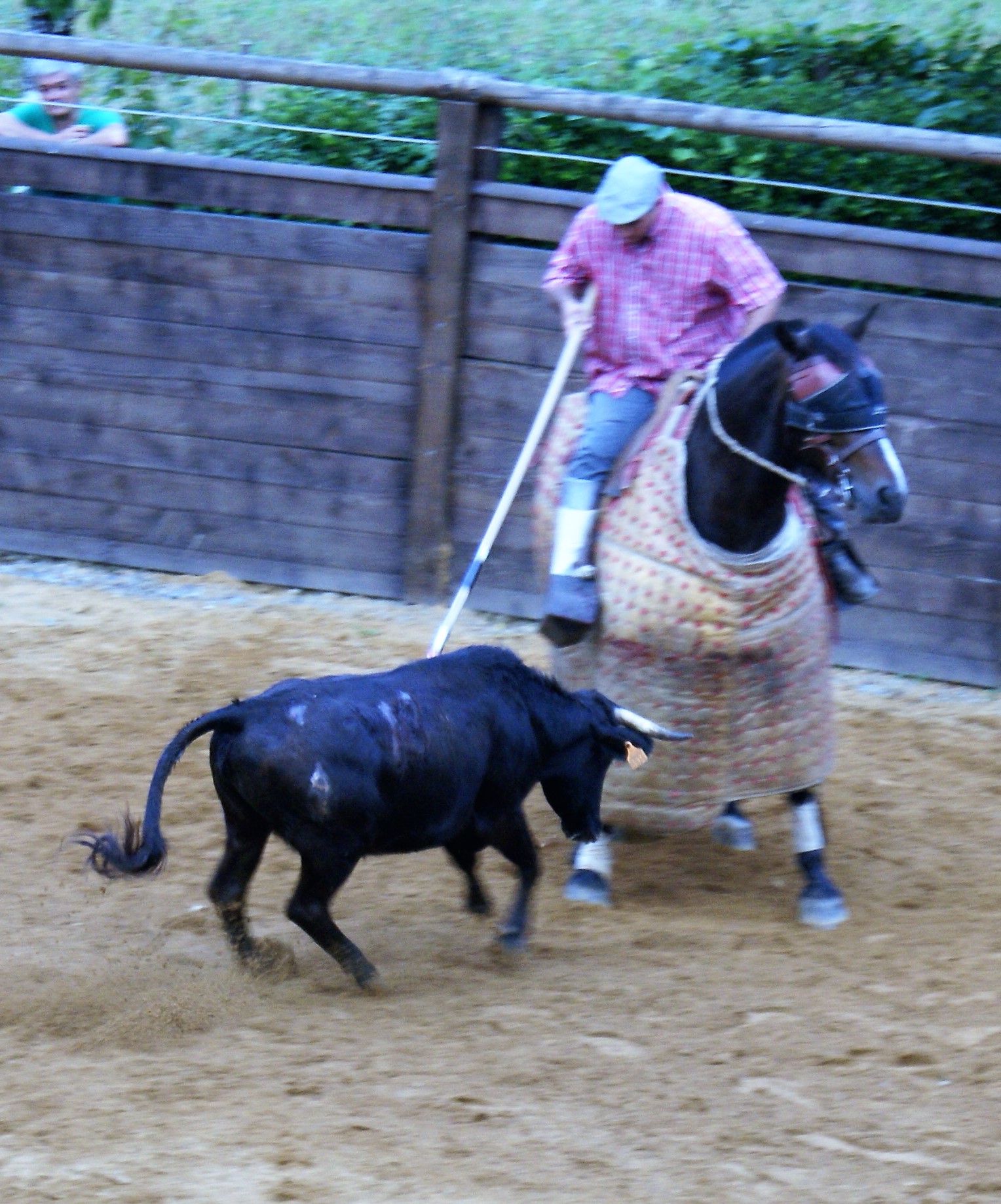 DSC04075 (2).JPG