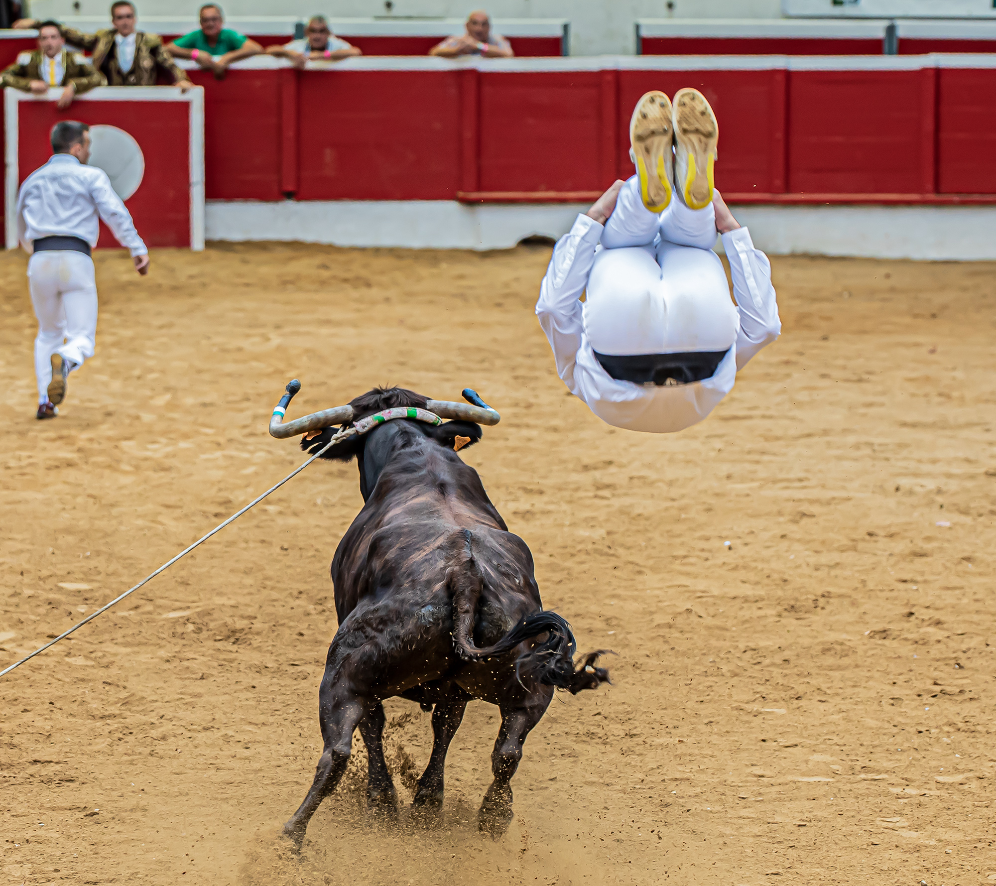 54 Saut 8-2 1bis 150821.jpg