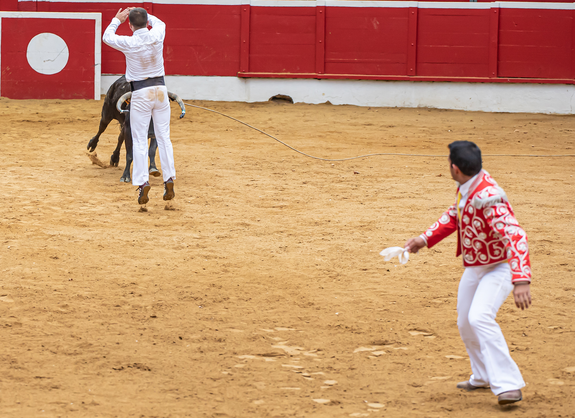 56 Saut 9-1 1bis 150821.jpg