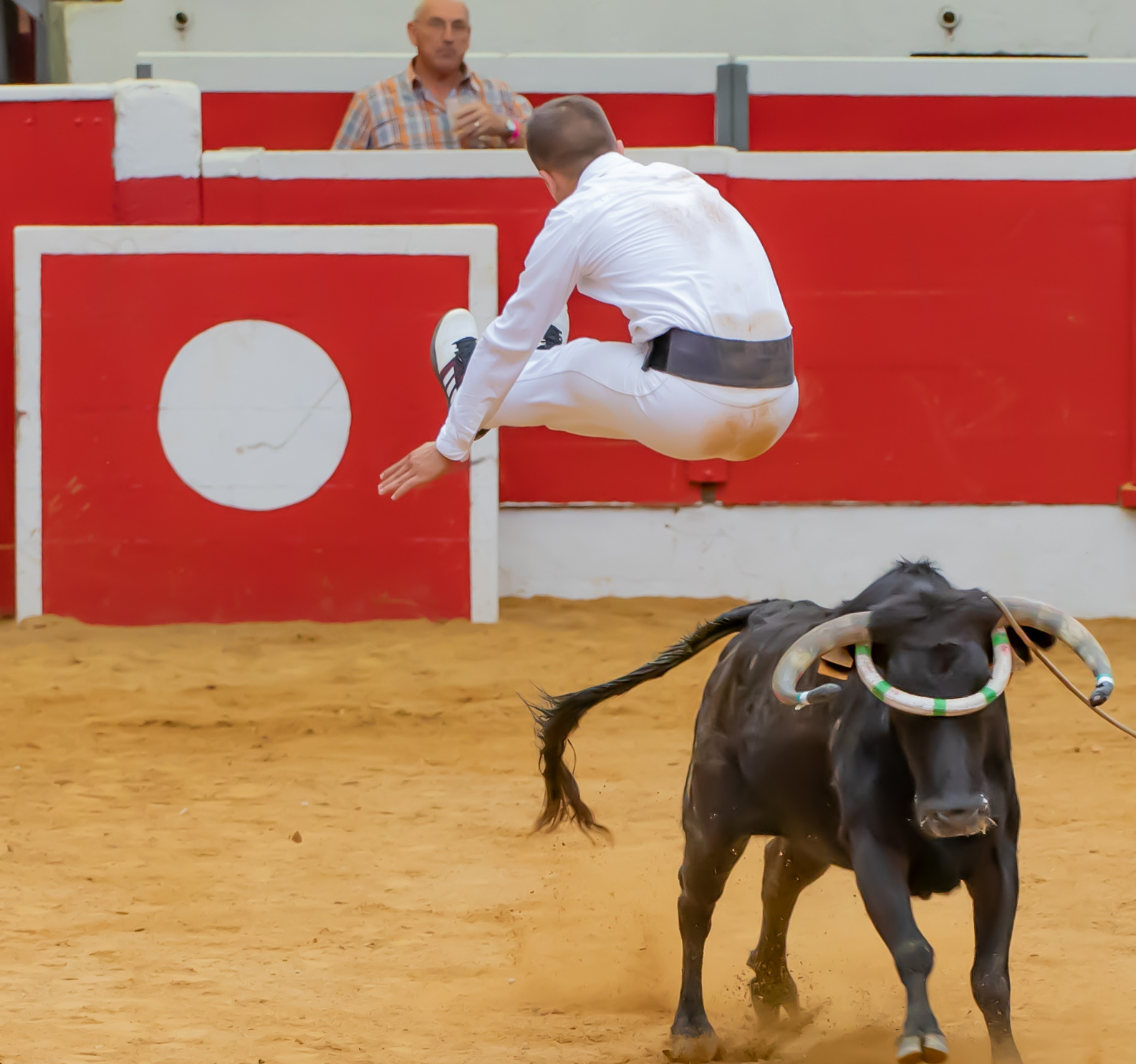 57 Saut 9-2 1bis 150821.jpg