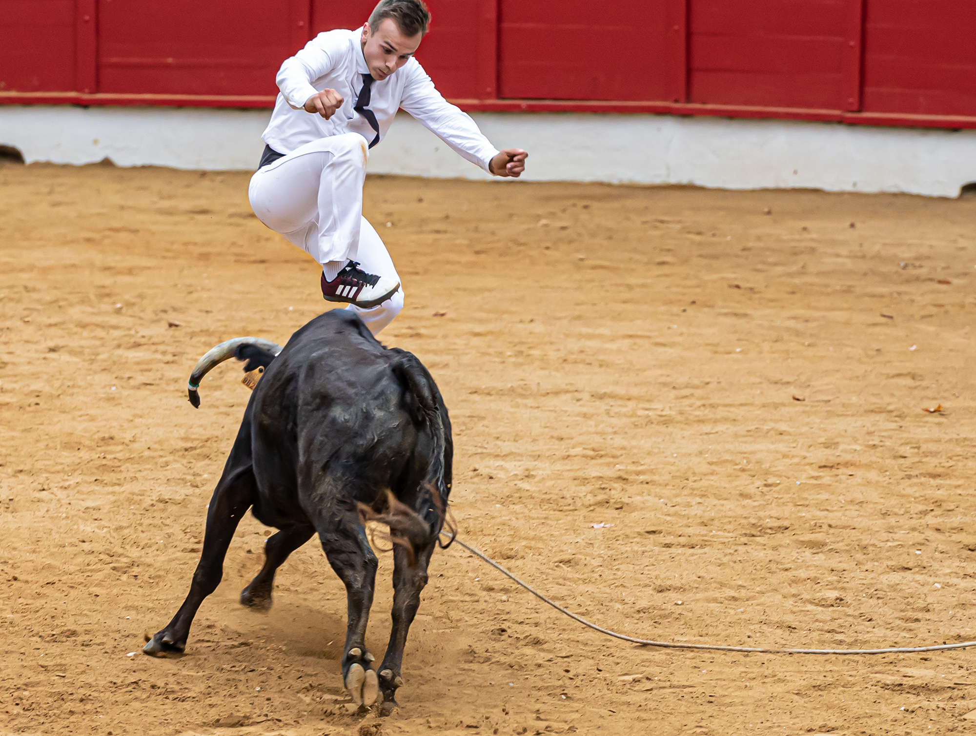 58 Saut 10-1 1bis 150821.jpg